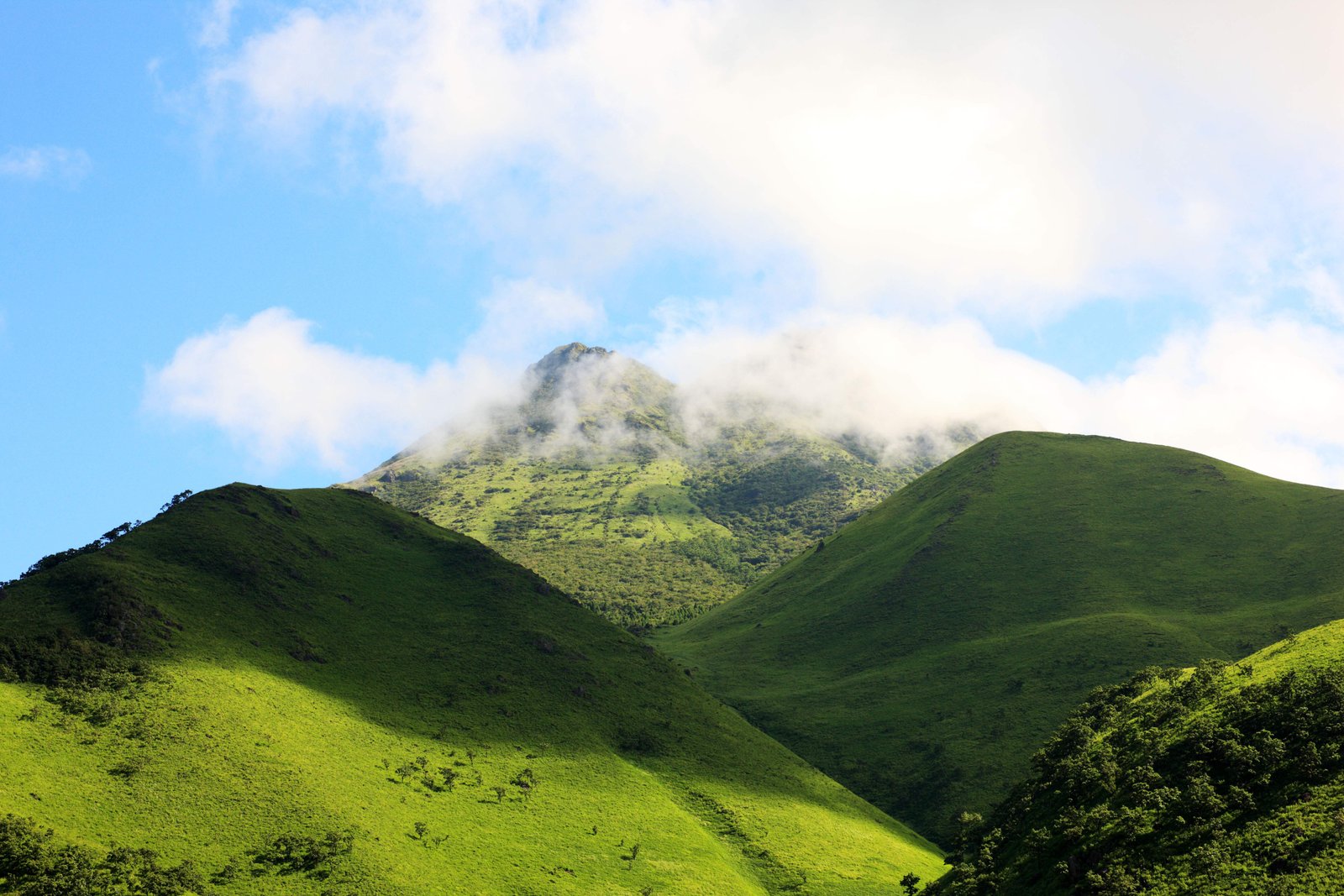 photo,material,free,landscape,picture,stock photo,Creative Commons,Yufu, , , ,