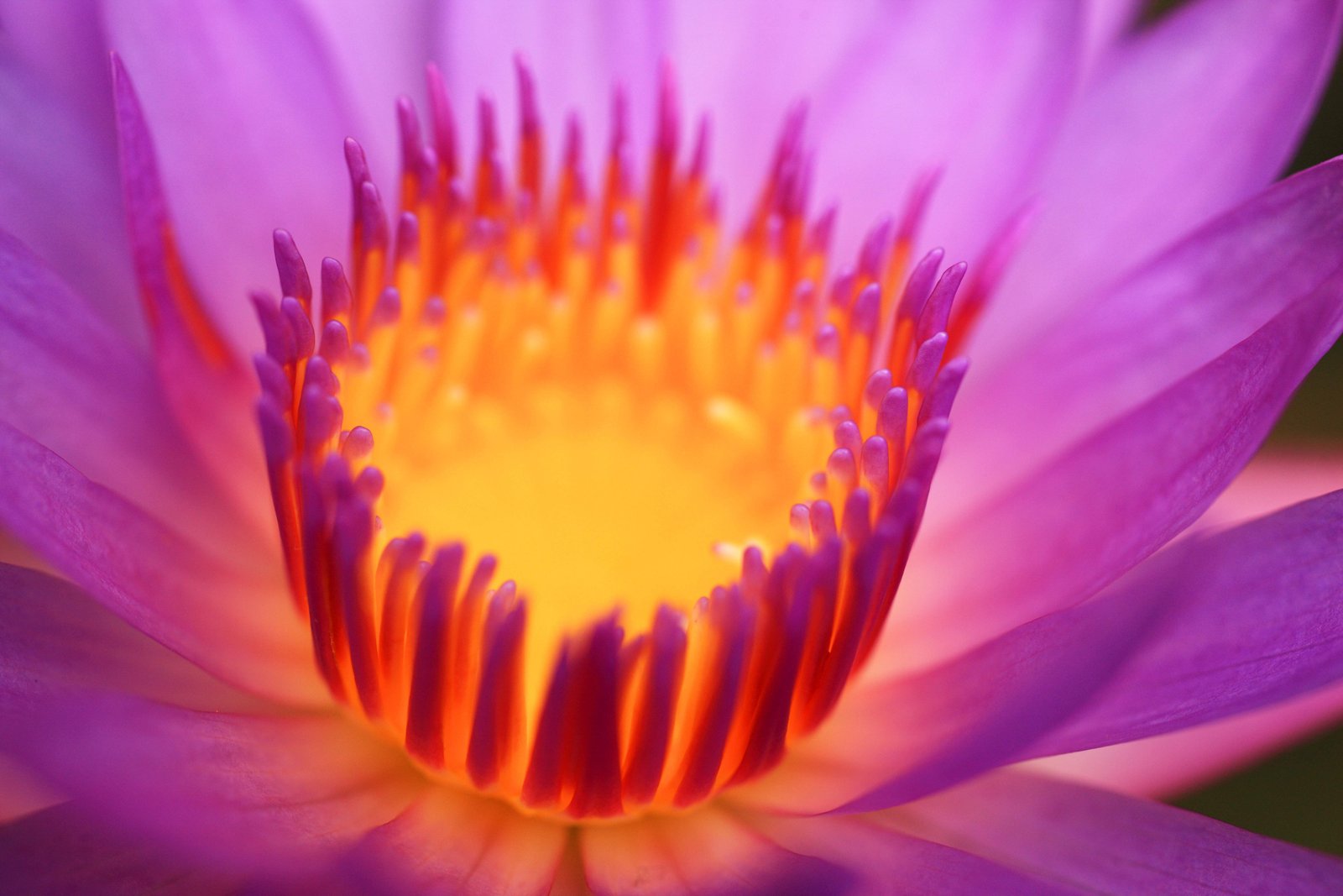 �ʐ^,�f��,����,�t���[,�t�H�g,�N���G�C�e�B�u�E�R�����Y,���i,�ǎ�,���@, , , , 