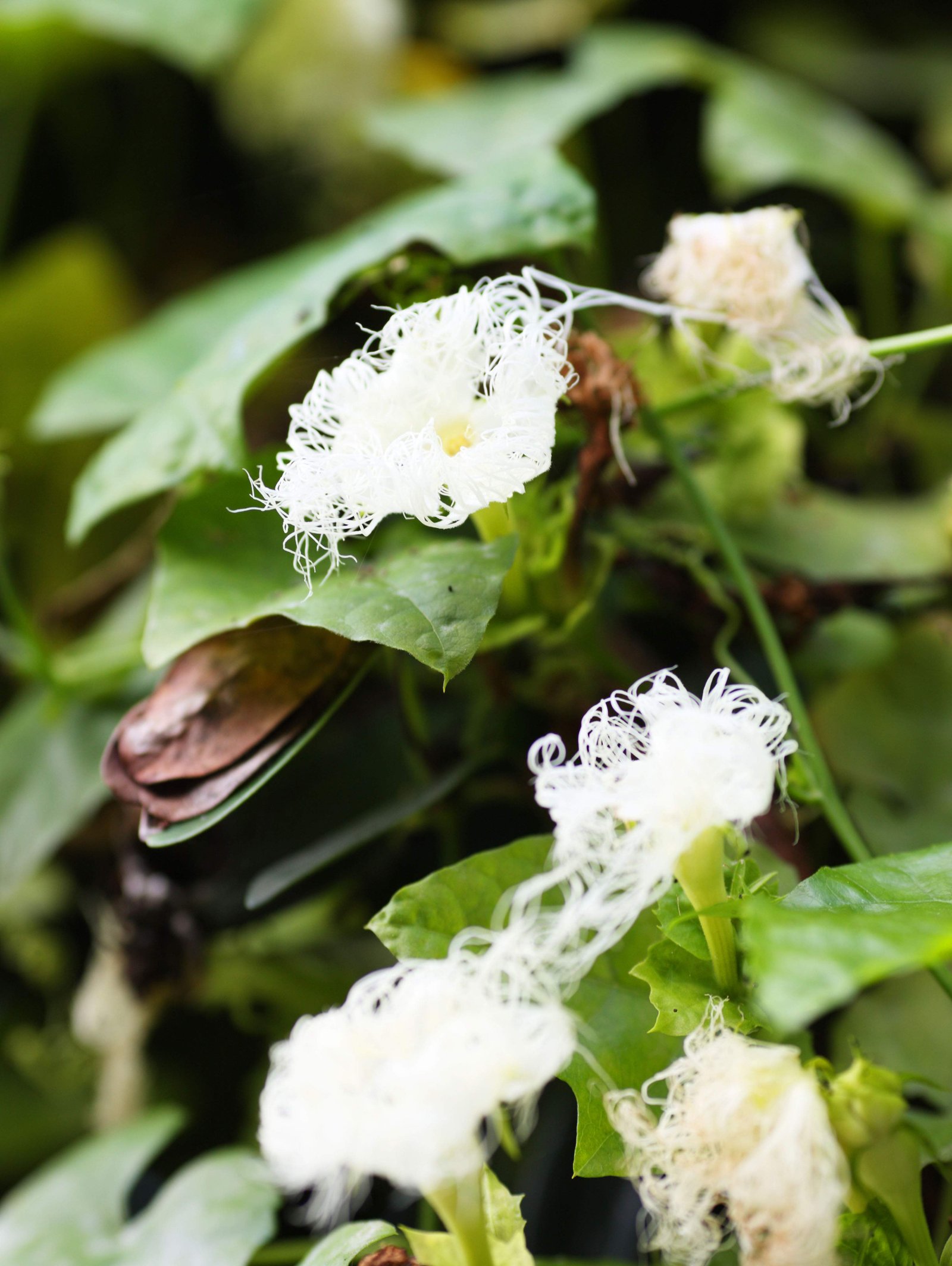 �ʐ^,�f��,����,�t���[,�t�H�g,�N���G�C�e�B�u�E�R�����Y,���i,�ǎ�,�L�J���X�E��, , , , 