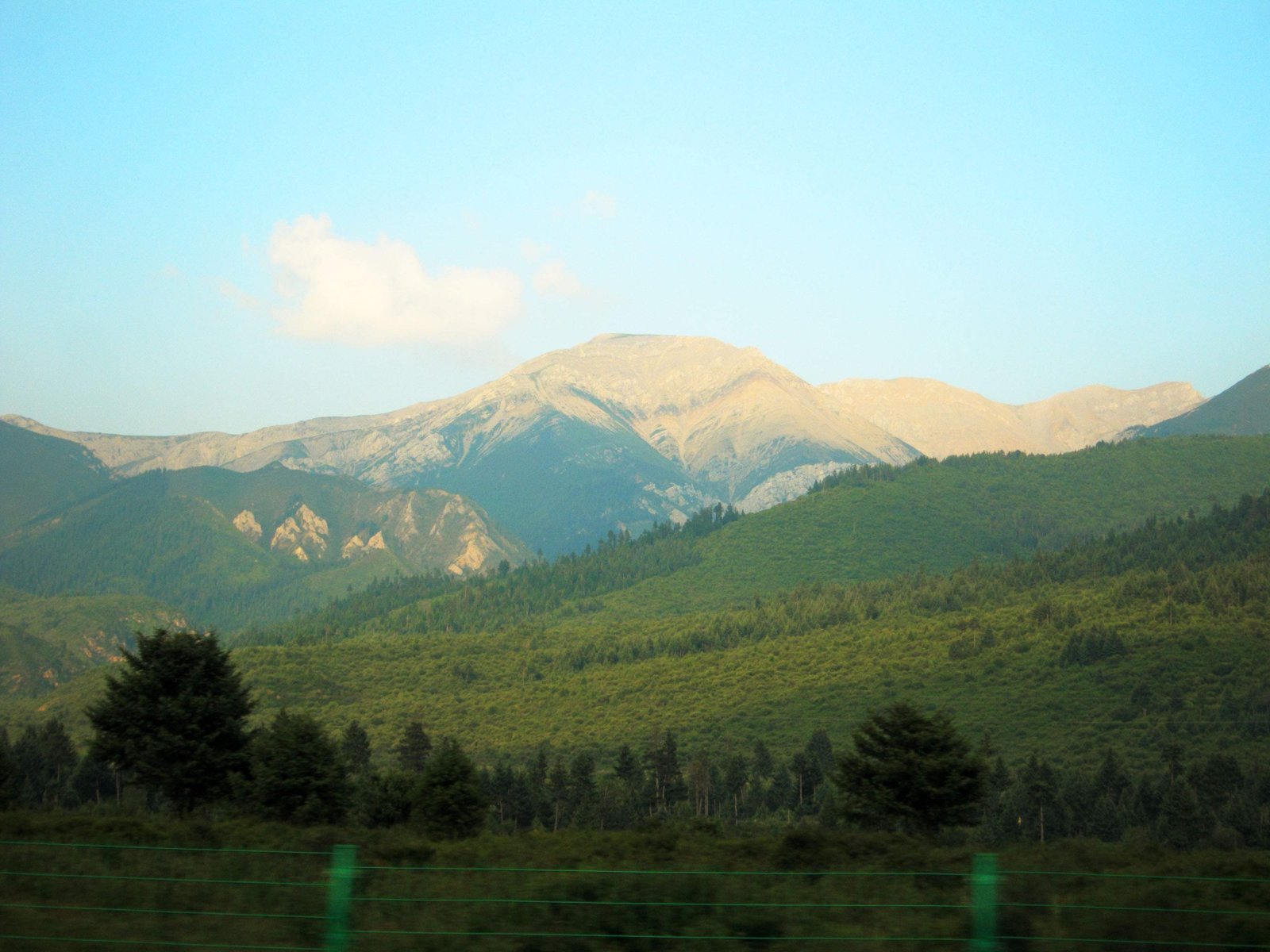 �ʐ^,�f��,����,�t���[,�t�H�g,�N���G�C�e�B�u�E�R�����Y,���i,�ǎ�,��ˍa, , , , 