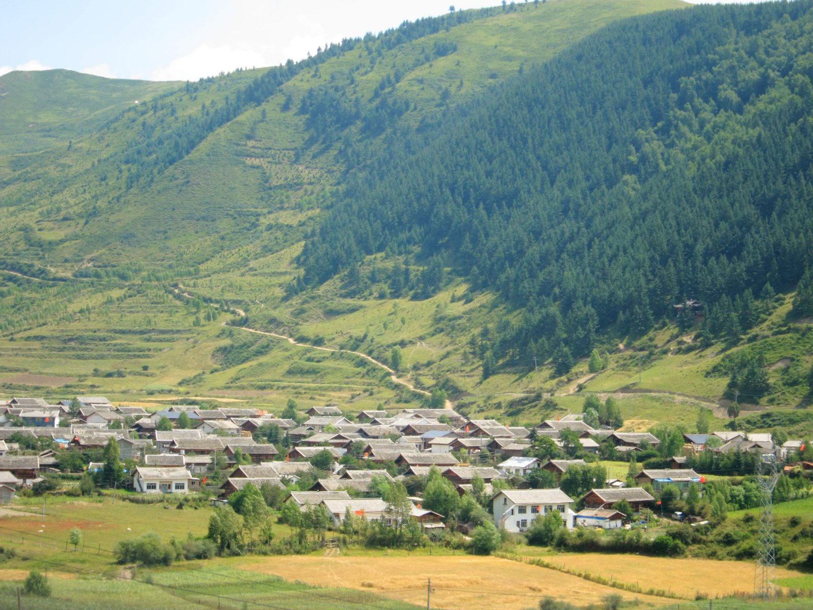 �ʐ^,�f��,����,�t���[,�t�H�g,�N���G�C�e�B�u�E�R�����Y,���i,�ǎ�,��ˍa, , , , 