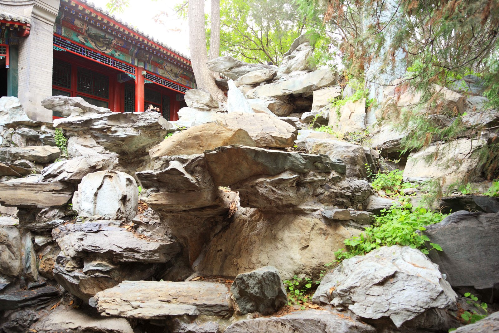 �ʐ^,�f��,����,�t���[,�t�H�g,�N���G�C�e�B�u�E�R�����Y,���i,�ǎ�,�k�C����, , , , 