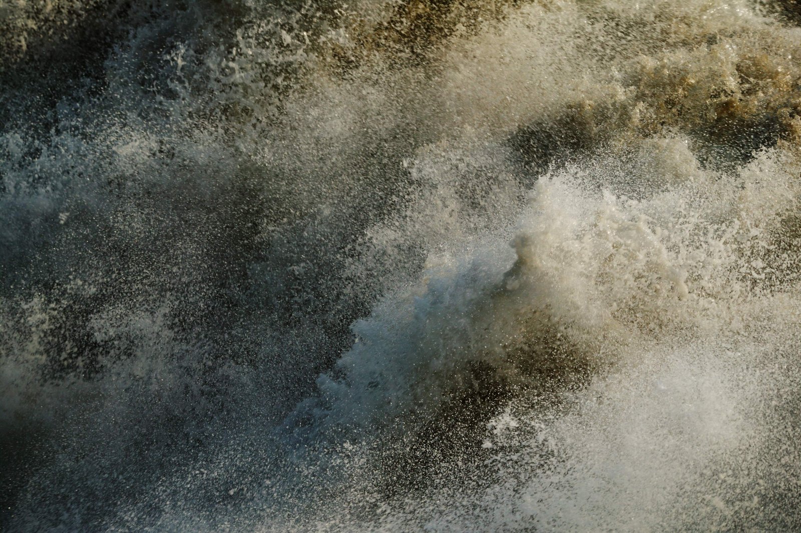 �ʐ^,�f��,����,�t���[,�t�H�g,�N���G�C�e�B�u�E�R�����Y,���i,�ǎ�,�g��, �g, �C, ��, �{��