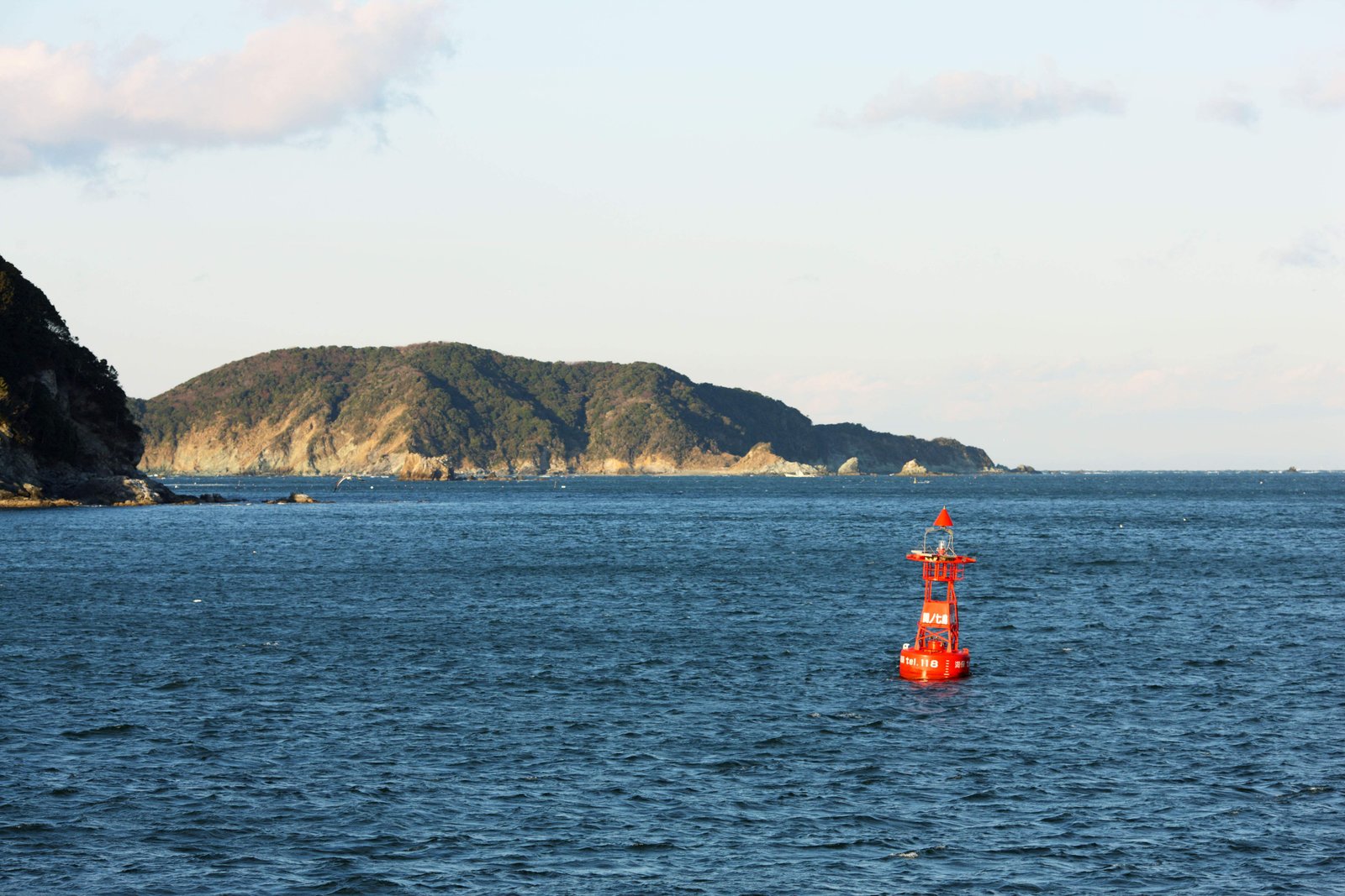 �ʐ^,�f��,����,�t���[,�t�H�g,�N���G�C�e�B�u�E�R�����Y,���i,�ǎ�,���C, , , , 