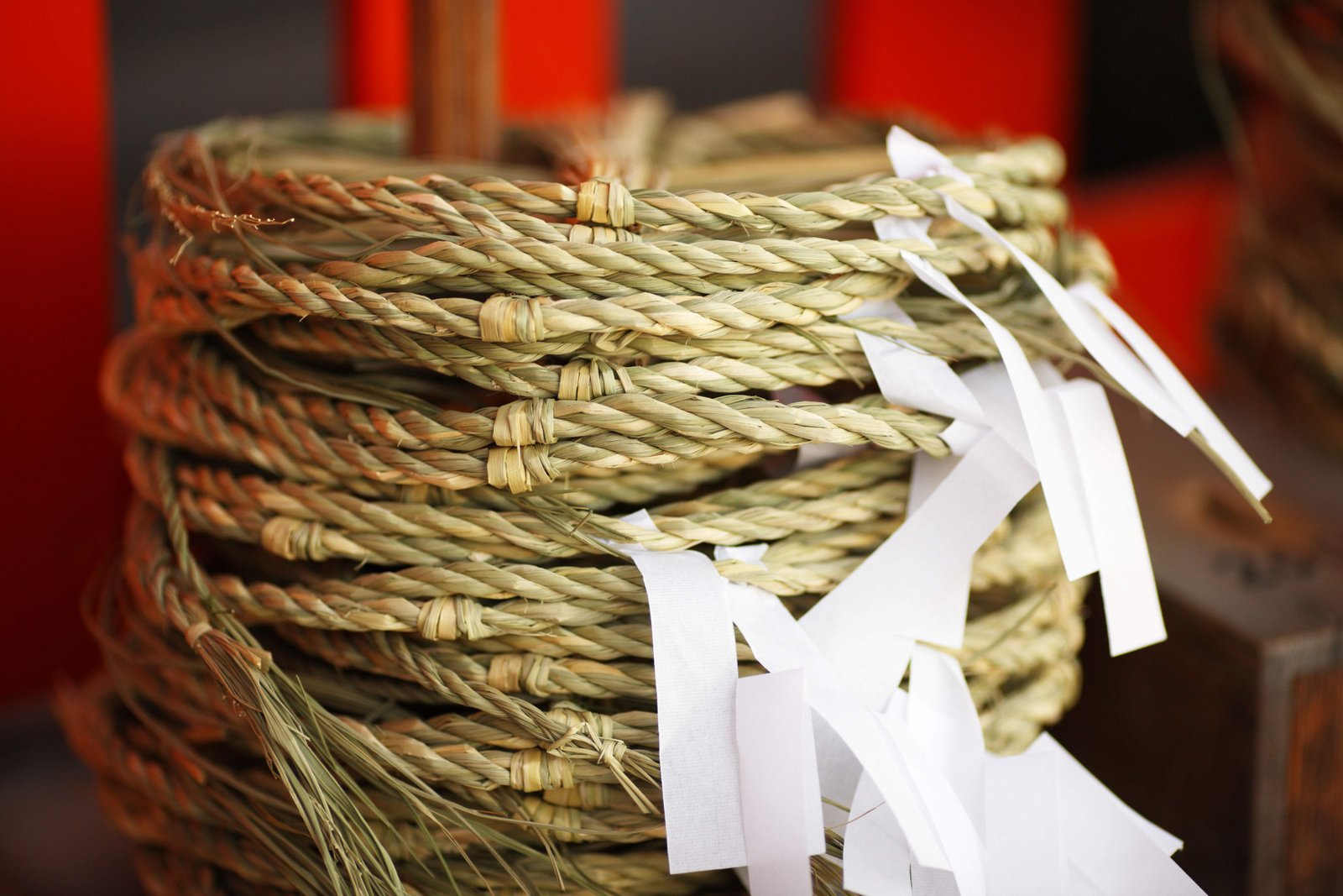 �ʐ^,�f��,����,�t���[,�t�H�g,�N���G�C�e�B�u�E�R�����Y,���i,�ǎ�,�v�w��@���A��, , , , 