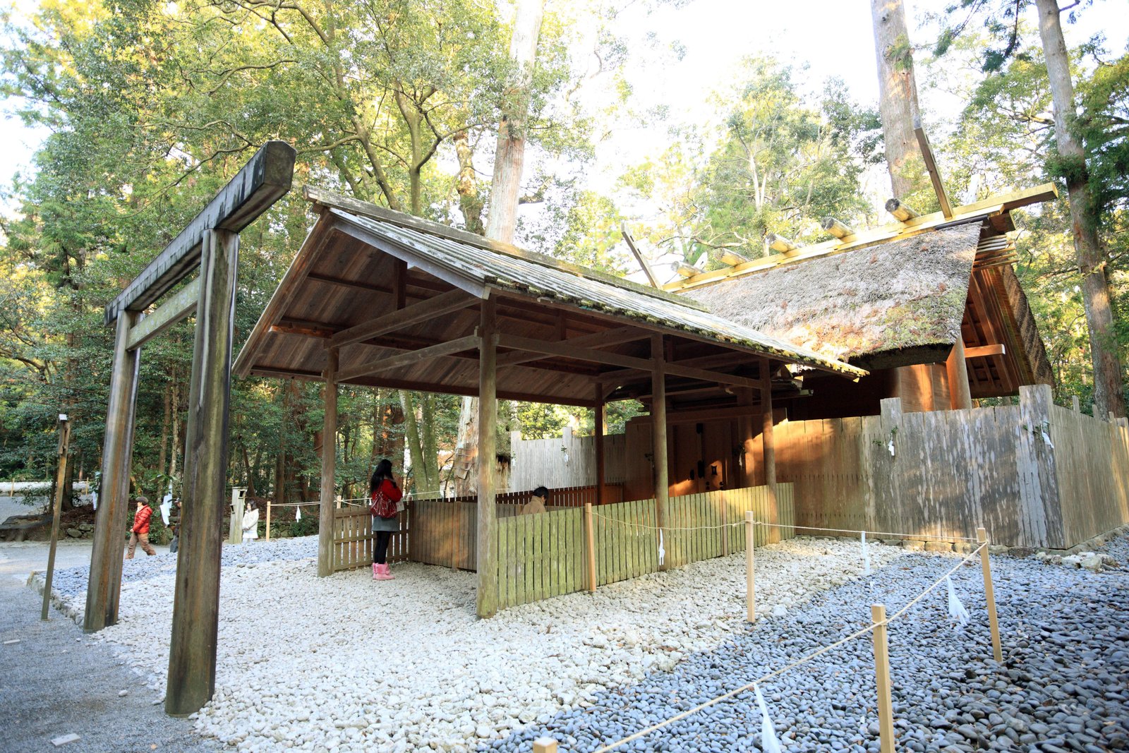 �ʐ^,�f��,����,�t���[,�t�H�g,�N���G�C�e�B�u�E�R�����Y,���i,�ǎ�,�ɐ��_�{�@�O�{, , , , 