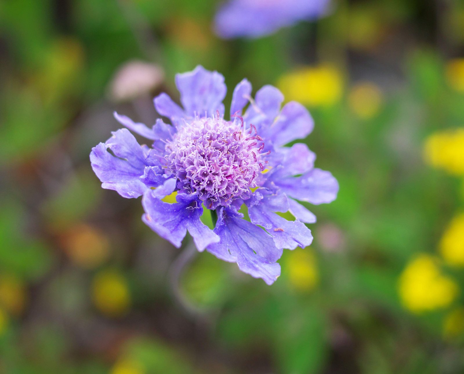 �ʐ^,�f��,����,�t���[,�t�H�g,�N���G�C�e�B�u�E�R�����Y,���i,�ǎ�,�}�c���V�\�E, , , , 