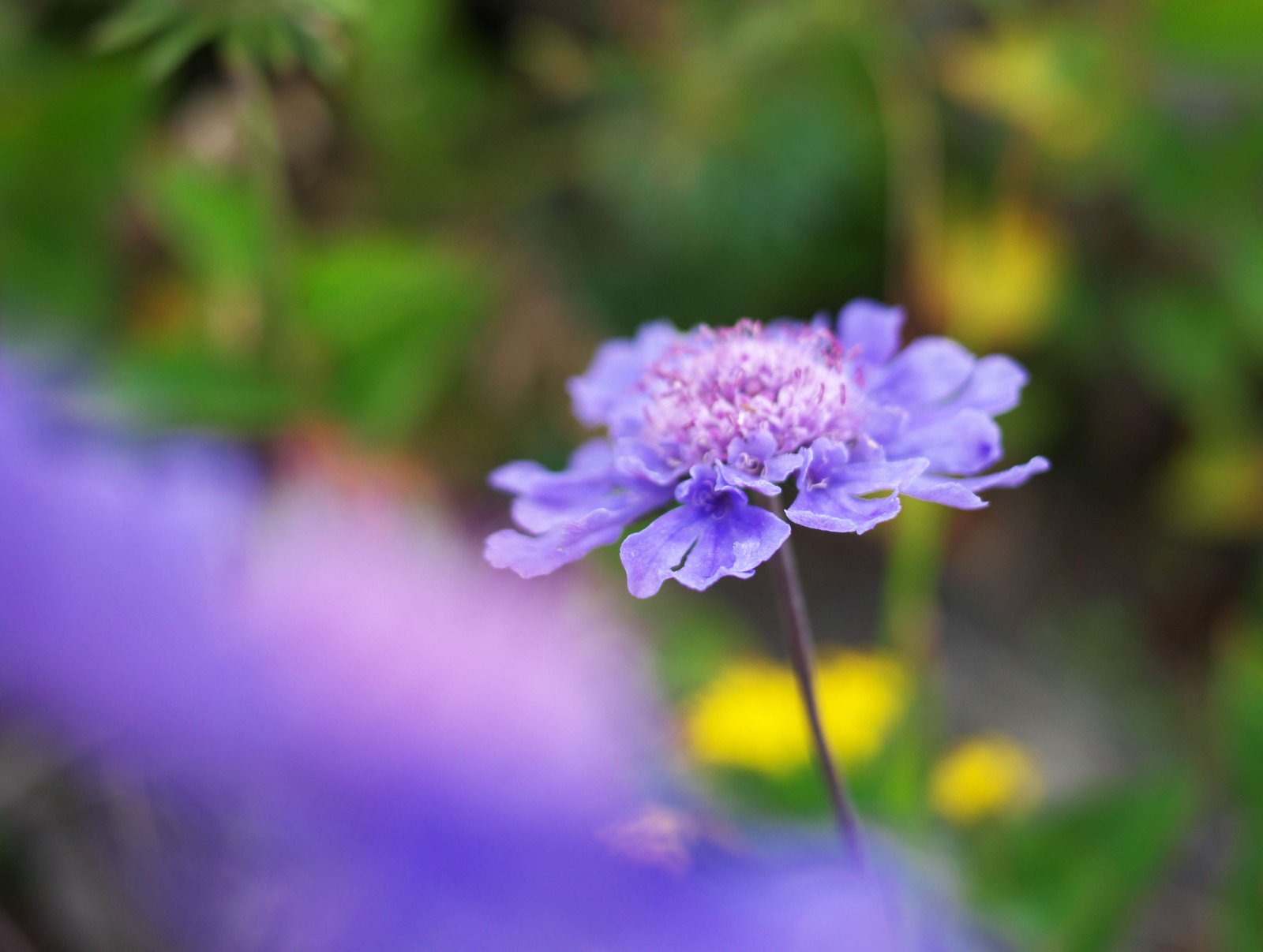 �ʐ^,�f��,����,�t���[,�t�H�g,�N���G�C�e�B�u�E�R�����Y,���i,�ǎ�,�}�c���V�\�E, , , , 