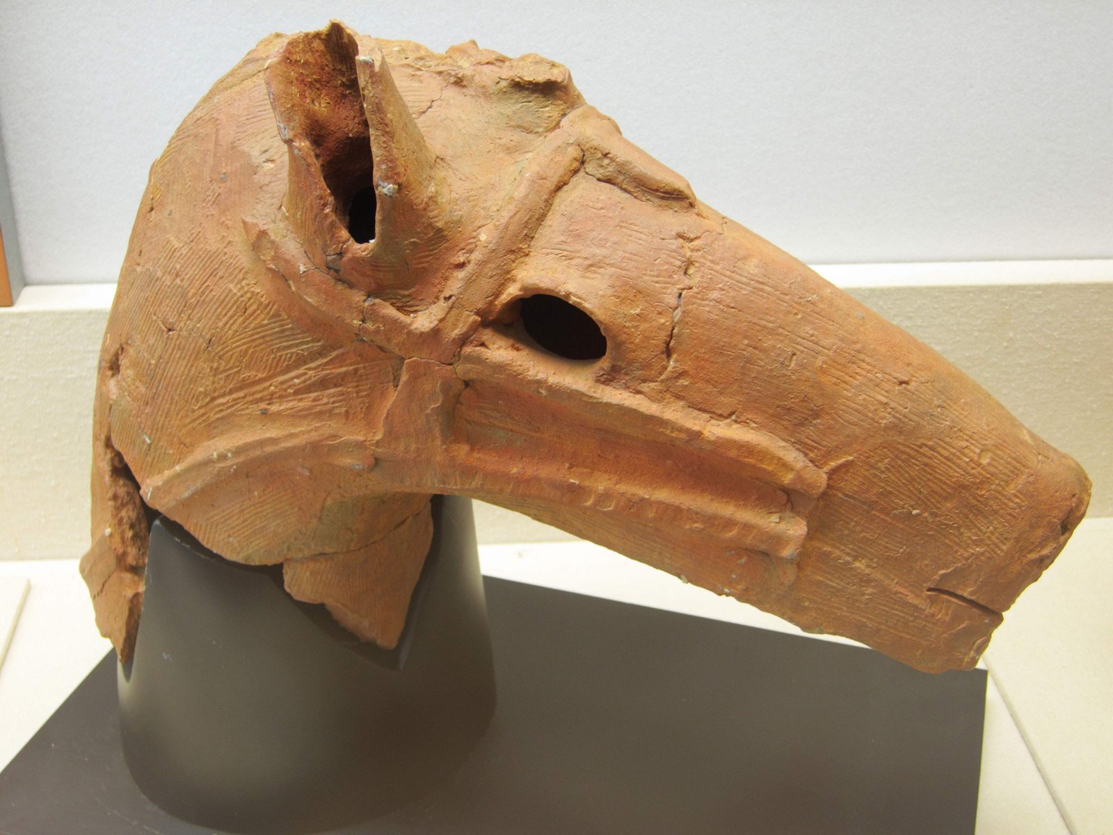 �ʐ^,�f��,����,�t���[,�t�H�g,�N���G�C�e�B�u�E�R�����Y,���i,�ǎ�,���`����, , , , 