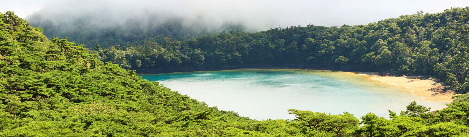 �ʐ^,�f��,����,�t���[,�t�H�g,�N���G�C�e�B�u�E�R�����Y,���i,�ǎ�,�Z�ω���r, , , , 