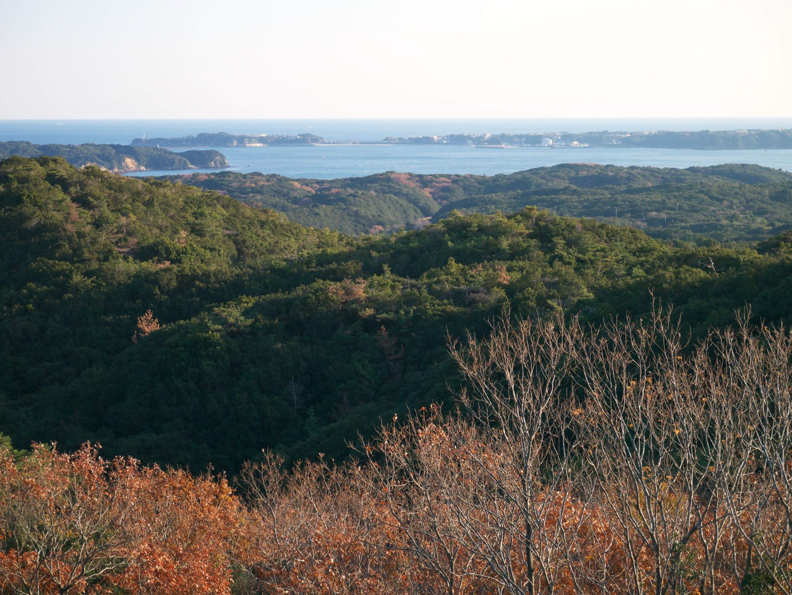 photo,material,free,landscape,picture,stock photo,Creative Commons,Matoya Bay, , , , 