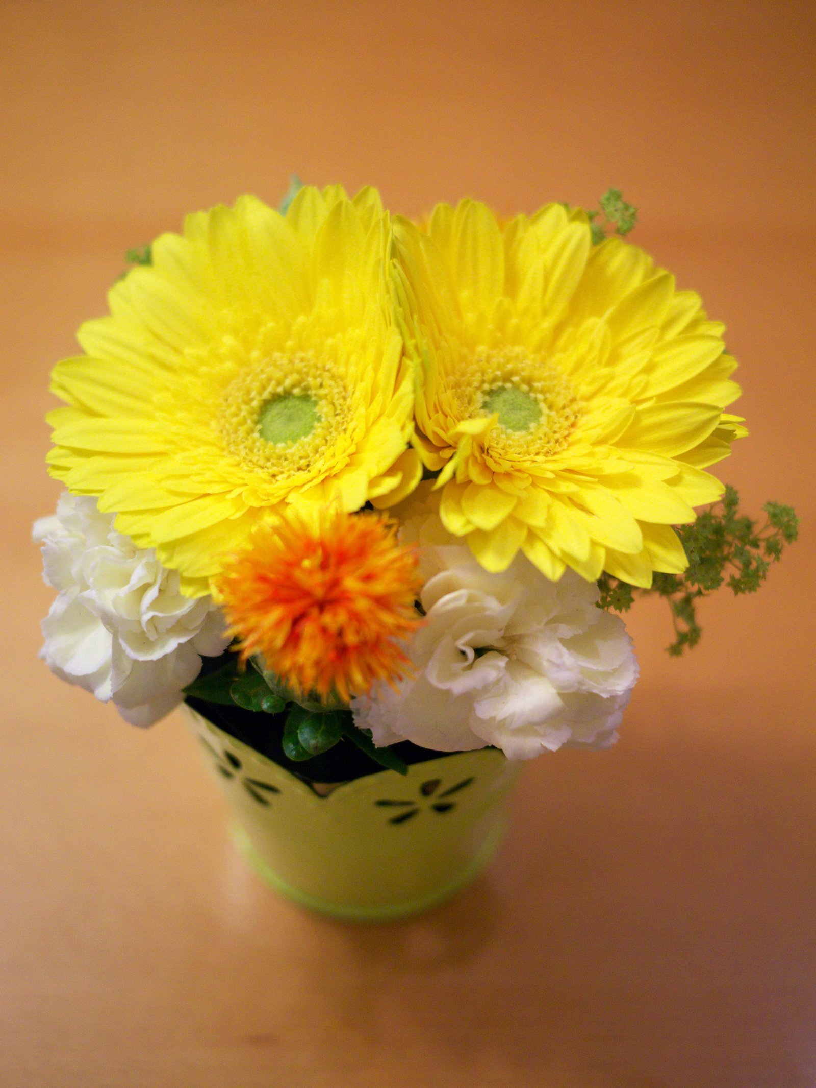 �ʐ^,�f��,����,�t���[,�t�H�g,�N���G�C�e�B�u�E�R�����Y,���i,�ǎ�,�t�����[�A�����W�����g, , , , 