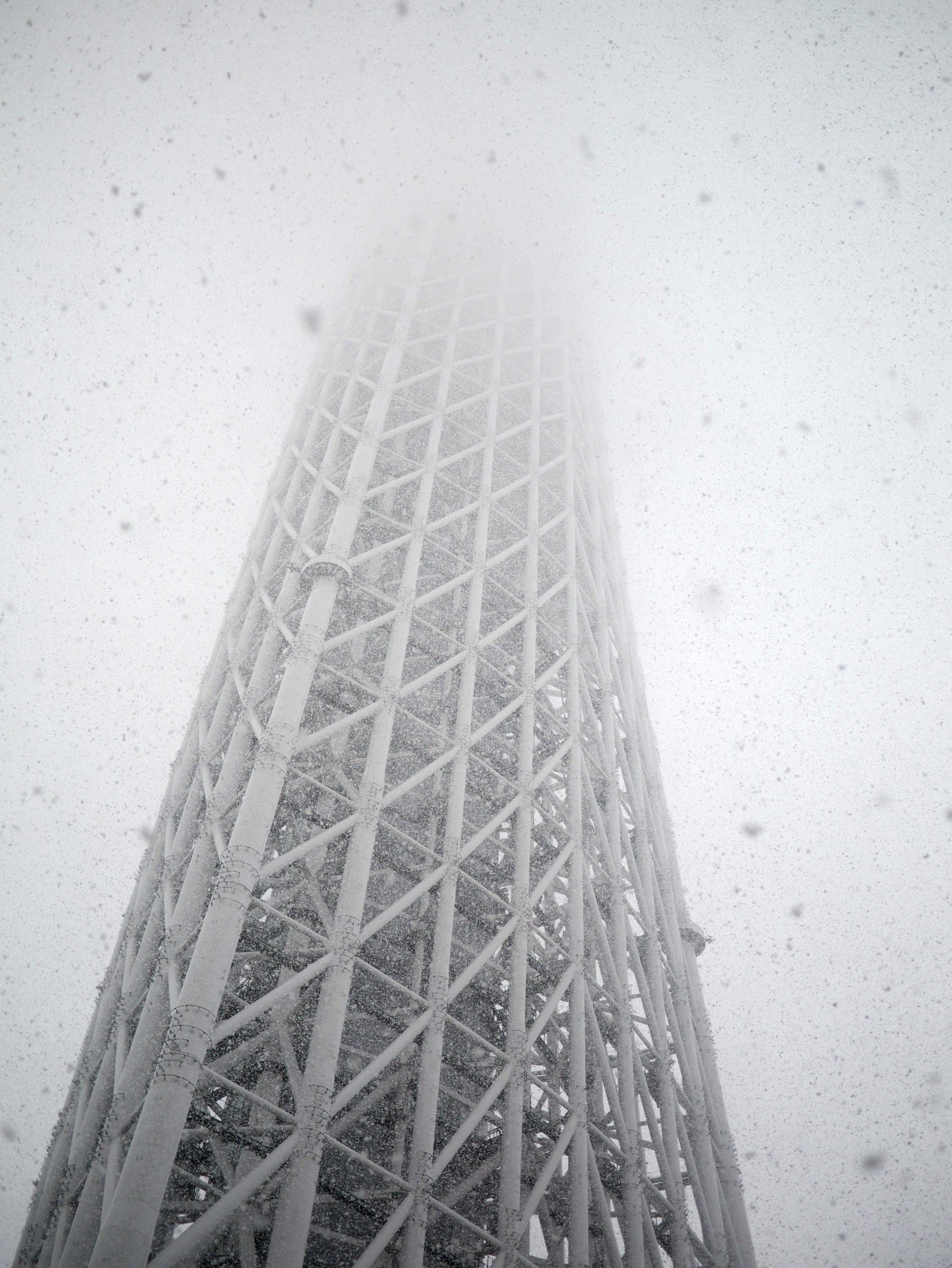 photo,material,free,landscape,picture,stock photo,Creative Commons,The Snow Sky Tree, , , , 