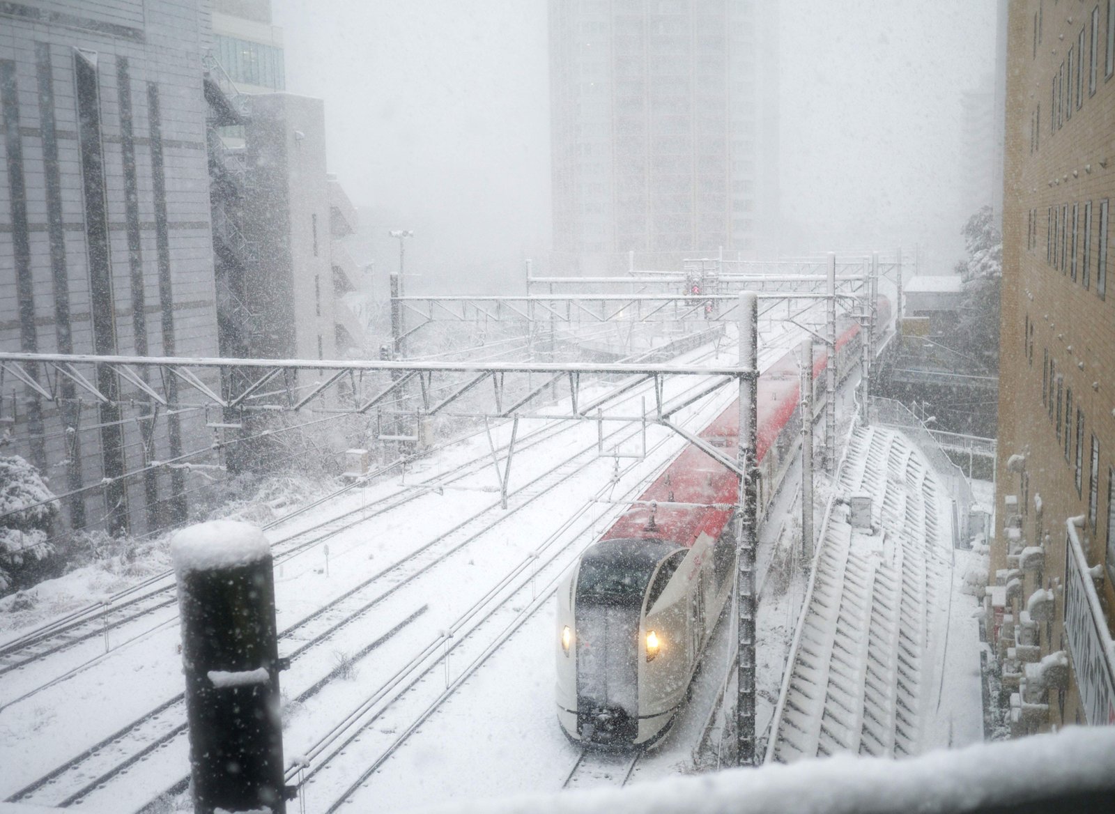 photo,material,free,landscape,picture,stock photo,Creative Commons,Narita Express, , , , 