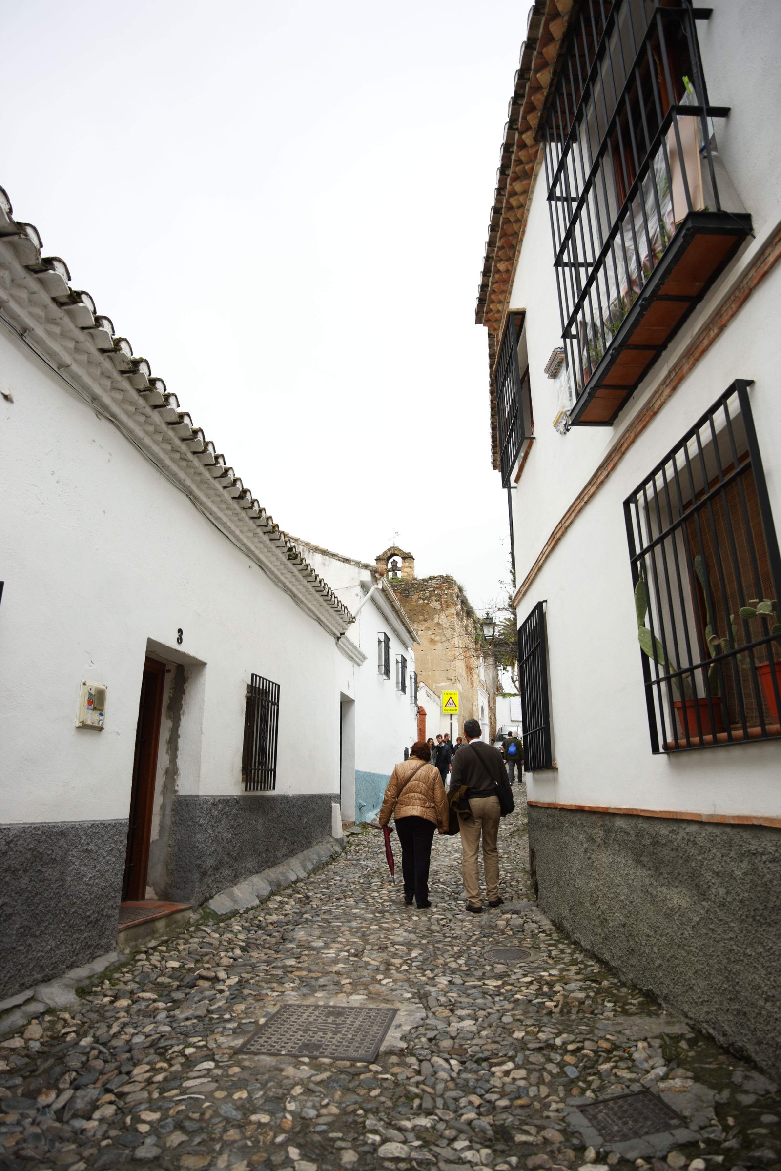 photo,material,free,landscape,picture,stock photo,Creative Commons,Albaicin, , , ,