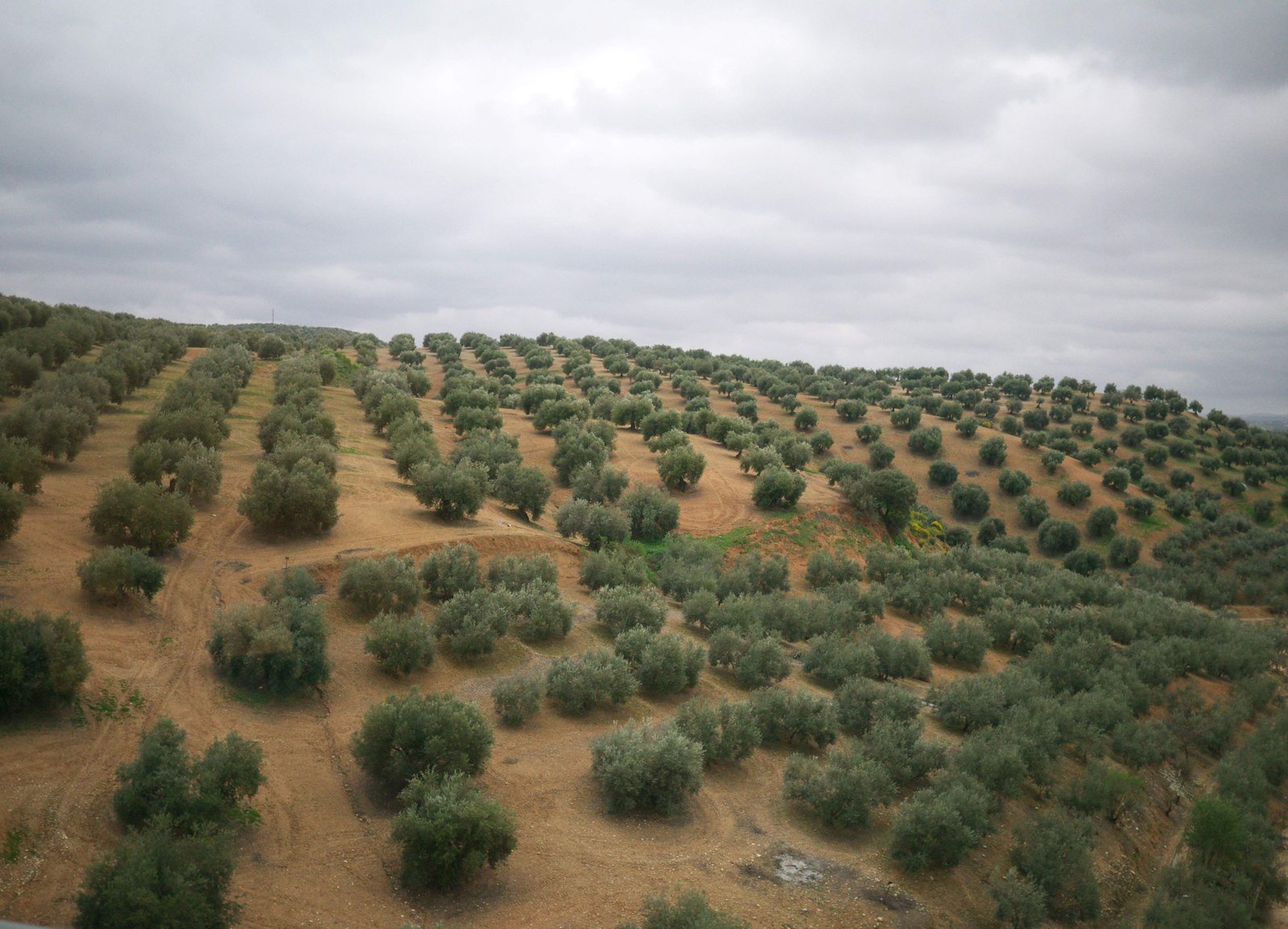 �ʐ^,�f��,����,�t���[,�t�H�g,�N���G�C�e�B�u�E�R�����Y,���i,�ǎ�,�ԑ��̕��i, , , , 