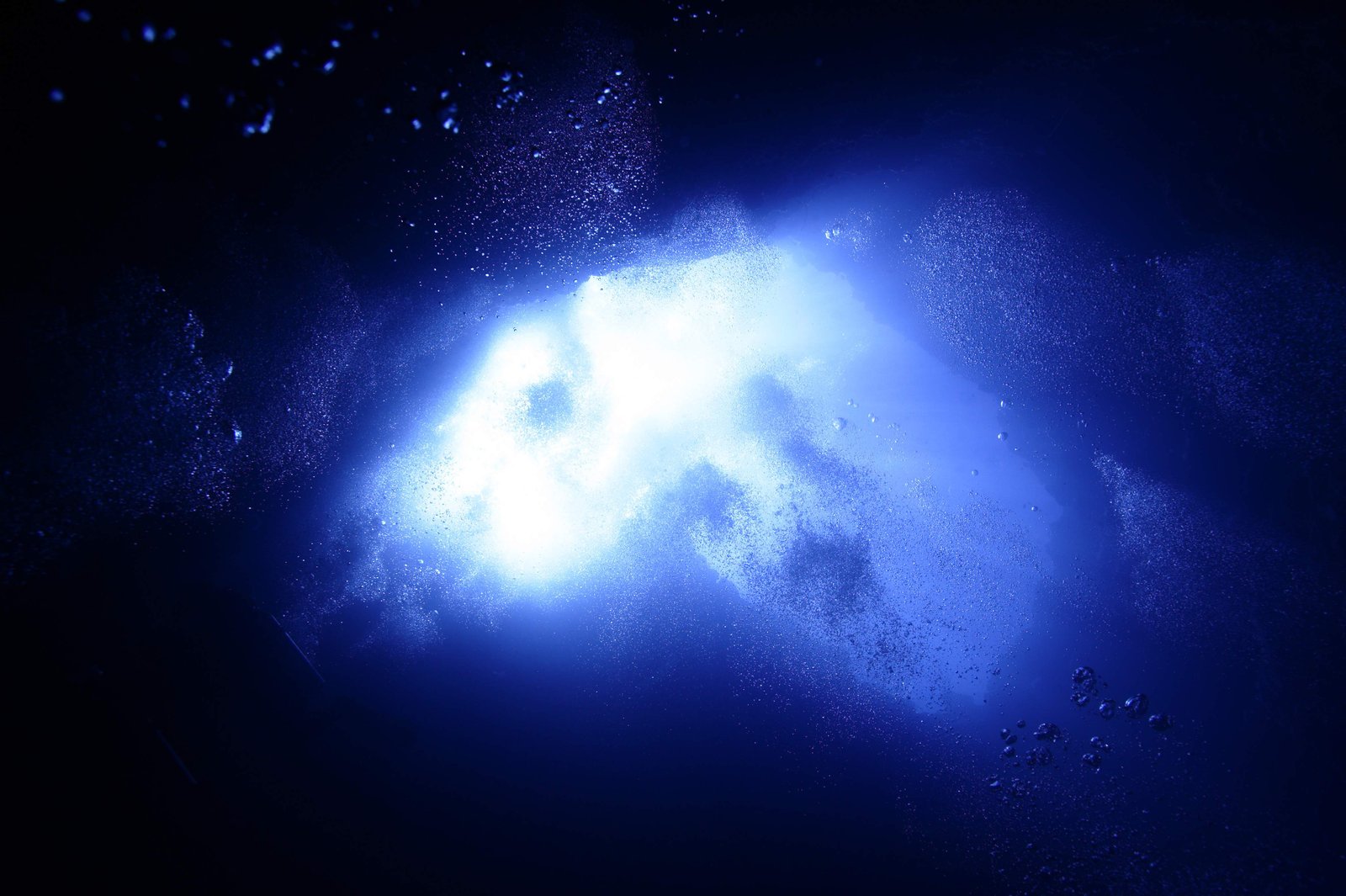 �ʐ^,�f��,����,�t���[,�t�H�g,�N���G�C�e�B�u�E�R�����Y,���i,�ǎ�,�u���[�z�[��������, ���A, DIVING, �C, �����ʐ^