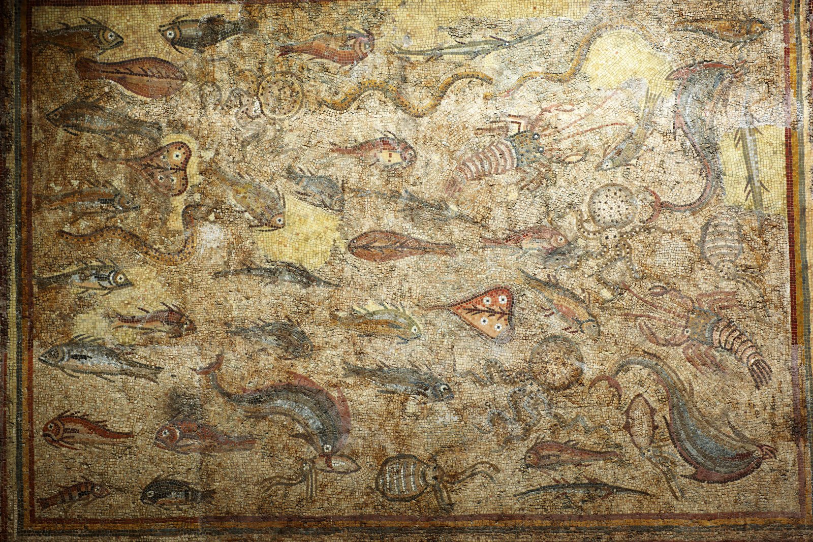 �ʐ^,�f��,����,�t���[,�t�H�g,�N���G�C�e�B�u�E�R�����Y,���i,�ǎ�,���̃��U�C�N��, , , , 