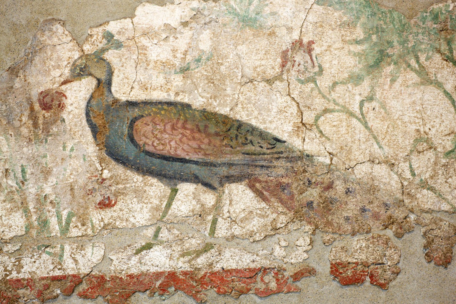 �ʐ^,�f��,����,�t���[,�t�H�g,�N���G�C�e�B�u�E�R�����Y,���i,�ǎ�,�N�W���N�̕ǉ�, , , , 