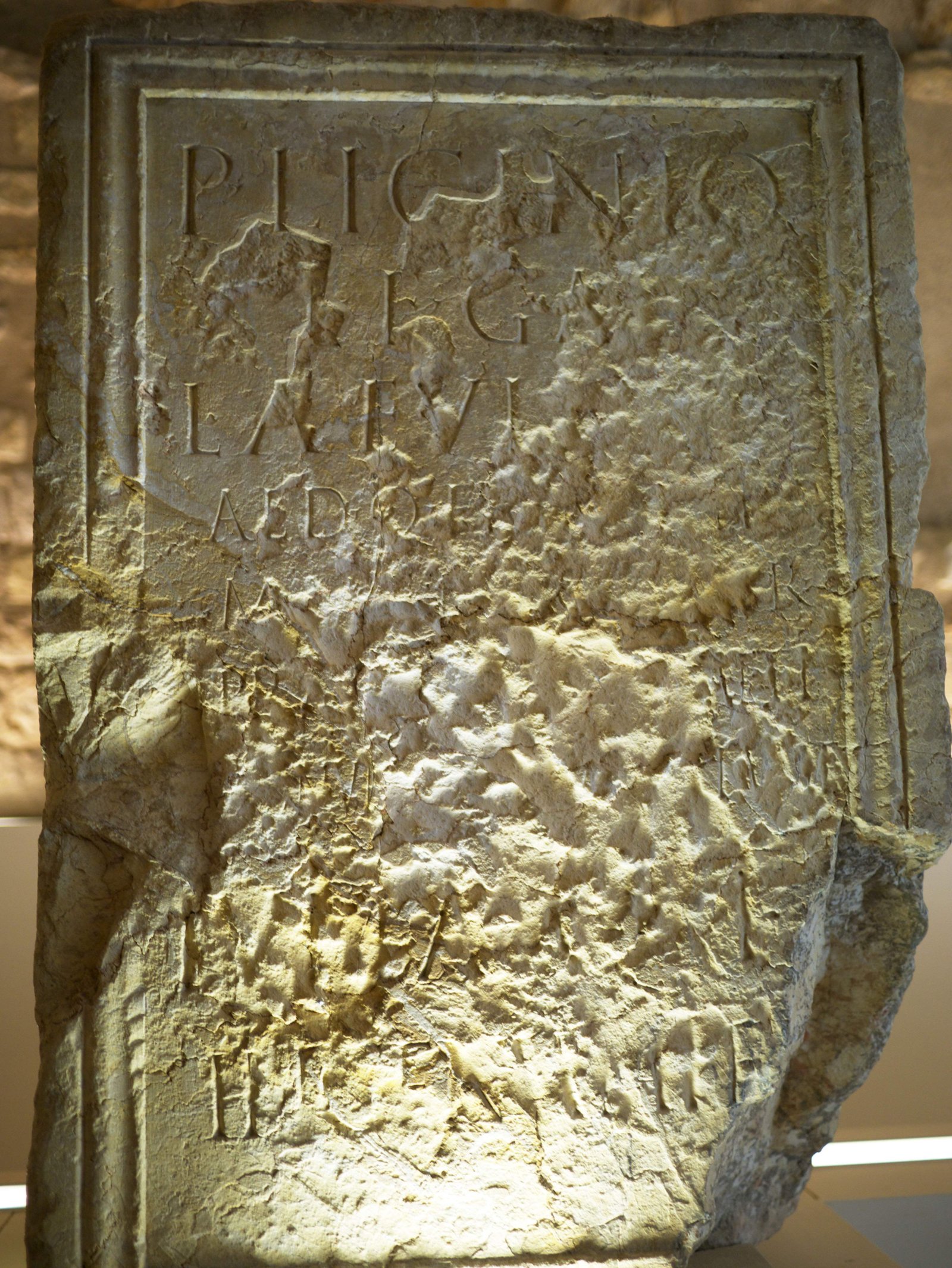 �ʐ^,�f��,����,�t���[,�t�H�g,�N���G�C�e�B�u�E�R�����Y,���i,�ǎ�,�Δ�, , , , 