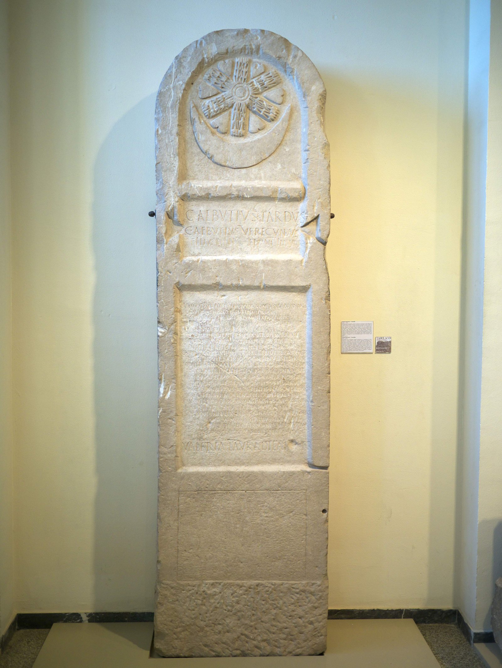 �ʐ^,�f��,����,�t���[,�t�H�g,�N���G�C�e�B�u�E�R�����Y,���i,�ǎ�,���, , , , 