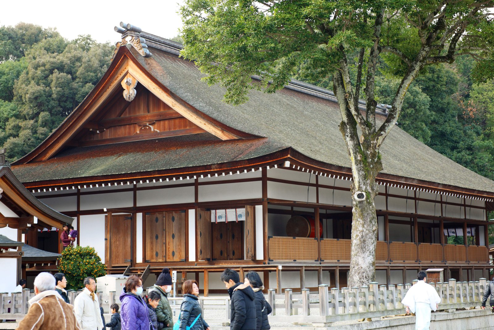 photo,material,free,landscape,picture,stock photo,Creative Commons,Kashihara Jingu Shrine, , , ,