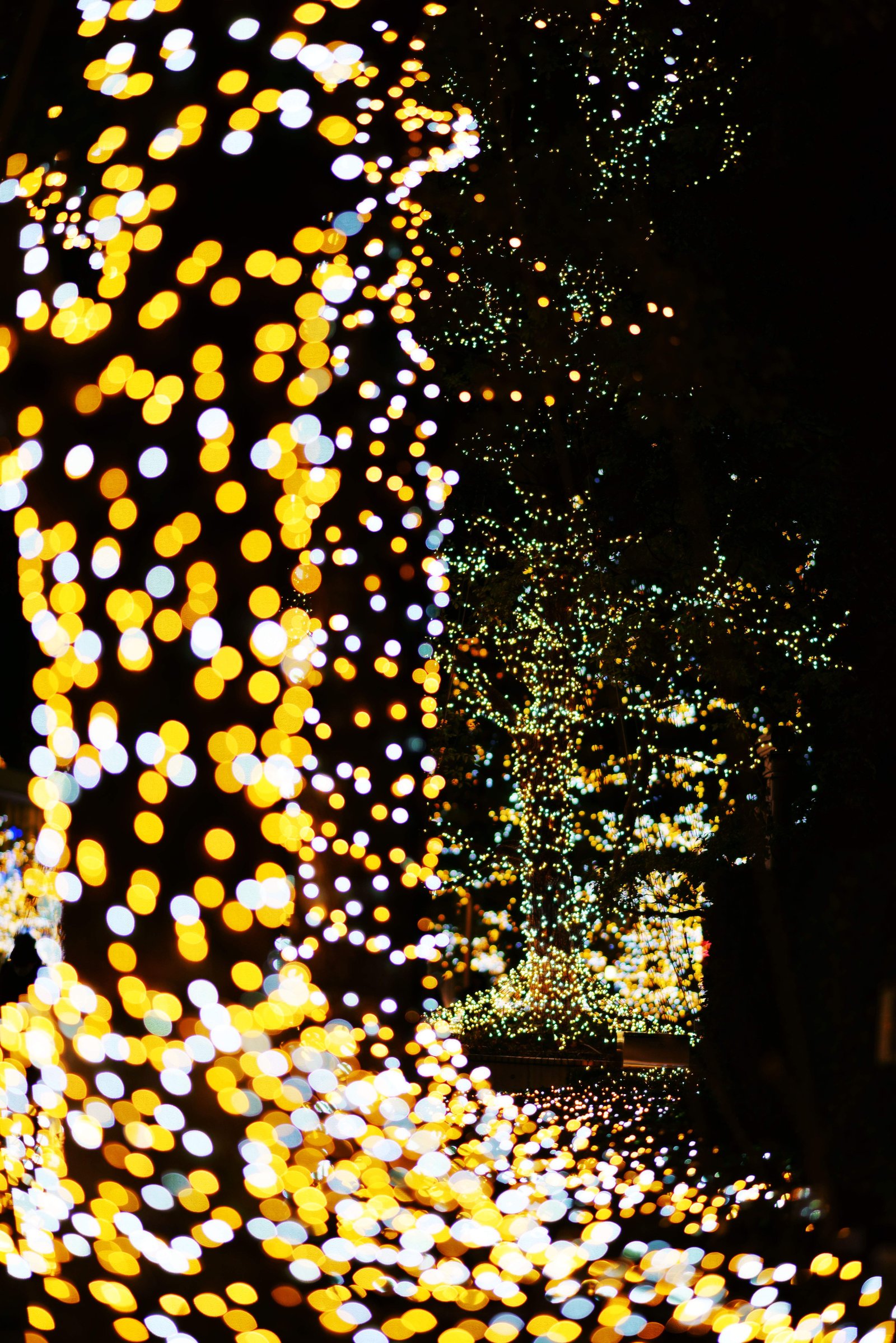 photo,material,free,landscape,picture,stock photo,Creative Commons,Shinjuku Illumination, , , ,