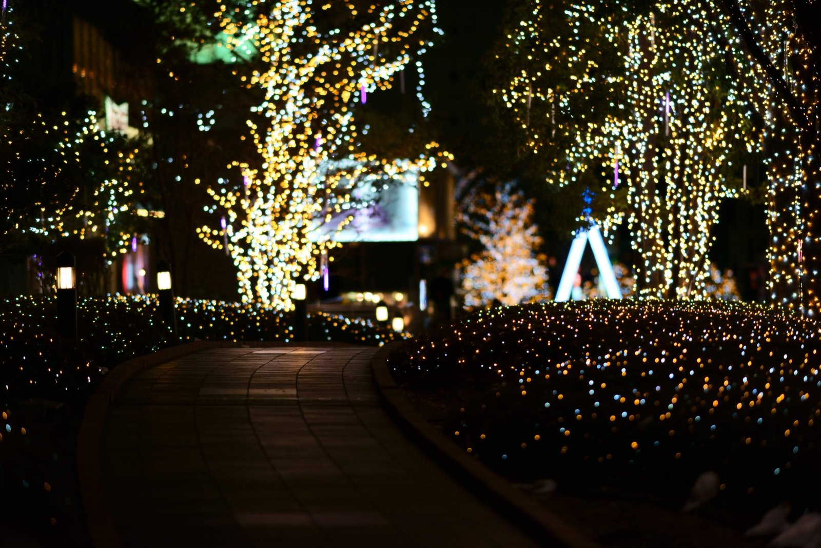 photo,material,free,landscape,picture,stock photo,Creative Commons,Shinjuku Illumination, , , ,