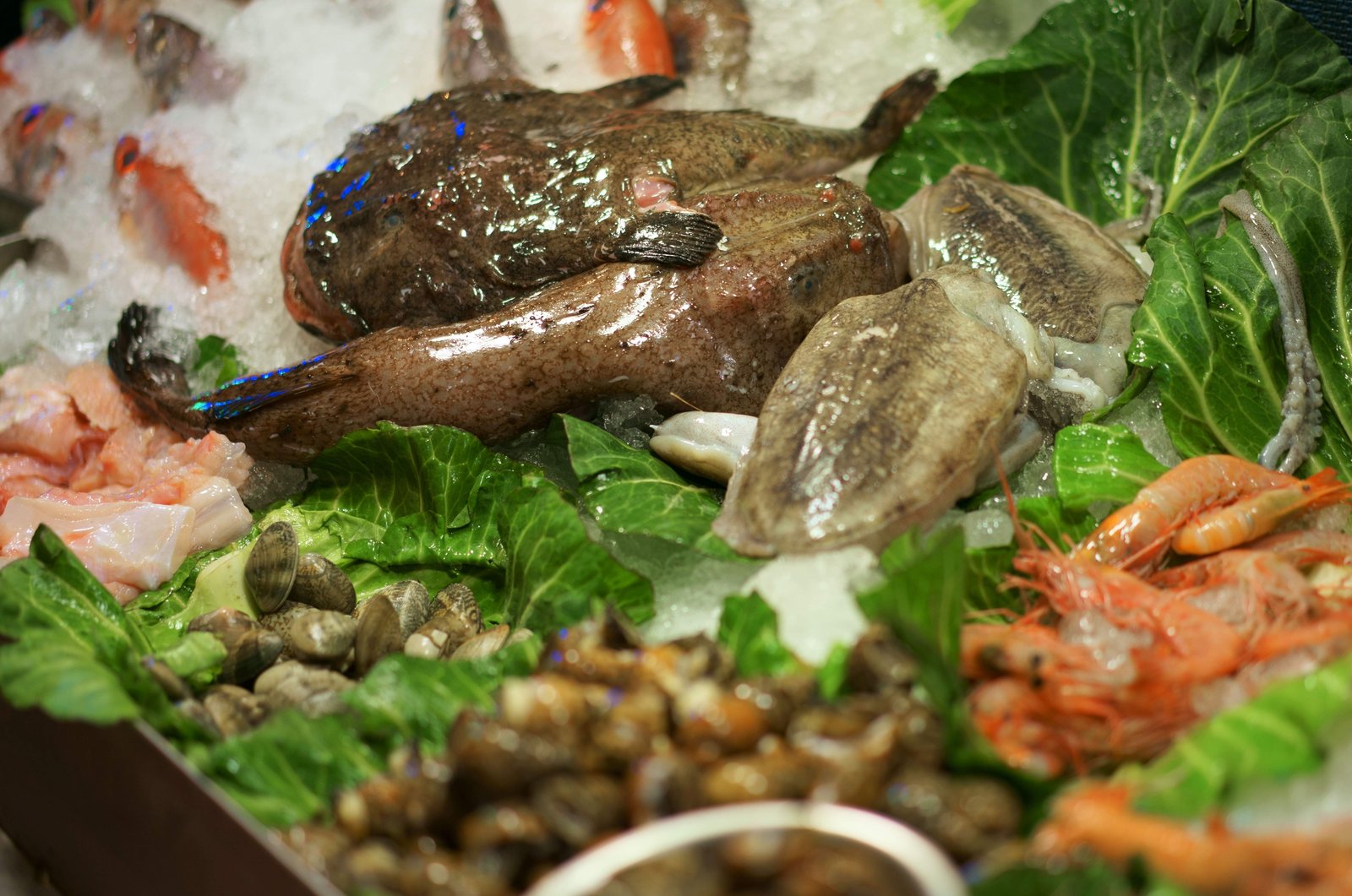 �ʐ^,�f��,����,�t���[,�t�H�g,�N���G�C�e�B�u�E�R�����Y,���i,�ǎ�,�J�Ė�s, , , , 