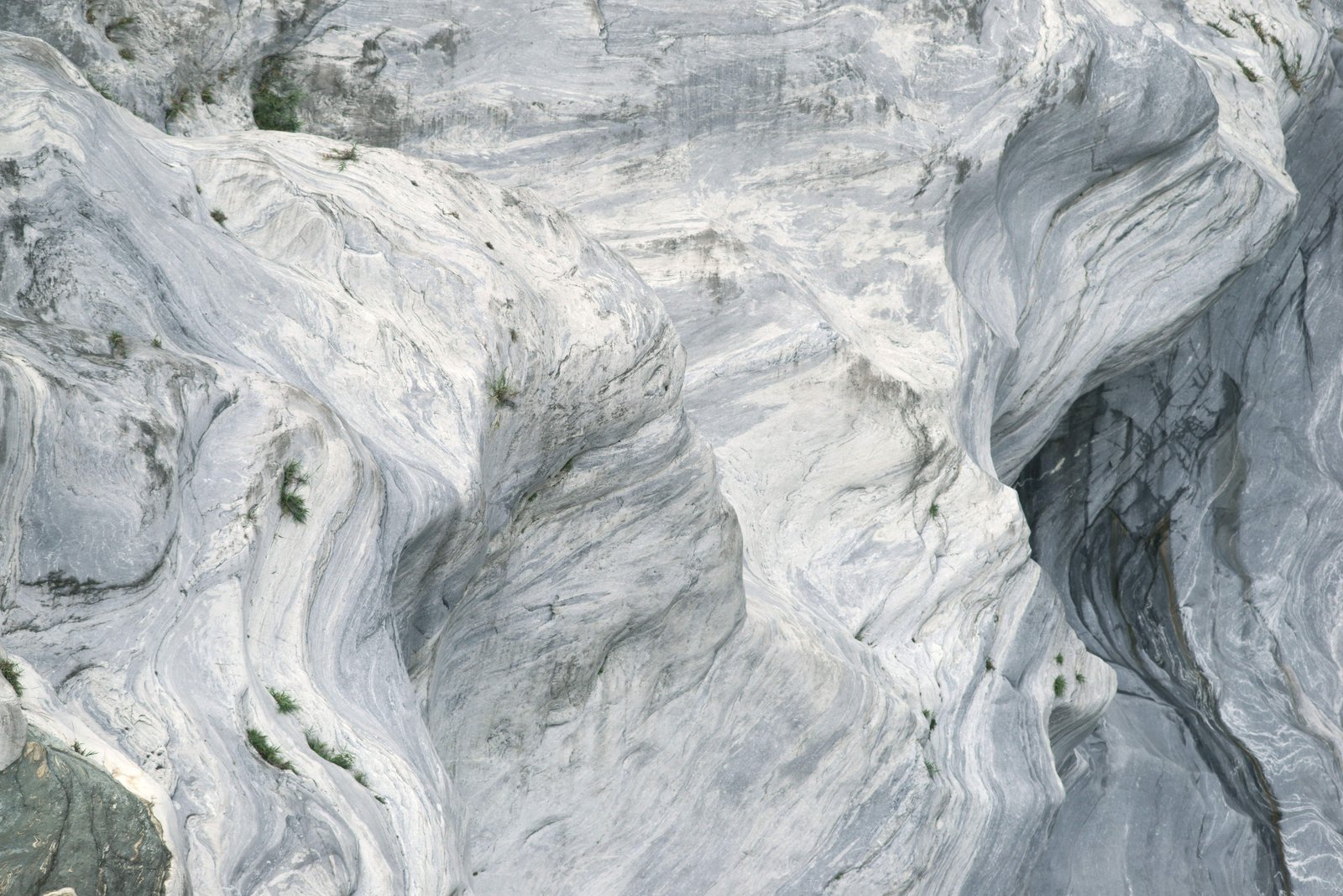 �ʐ^,�f��,����,�t���[,�t�H�g,�N���G�C�e�B�u�E�R�����Y,���i,�ǎ�,���D�t�k�J, , , , 