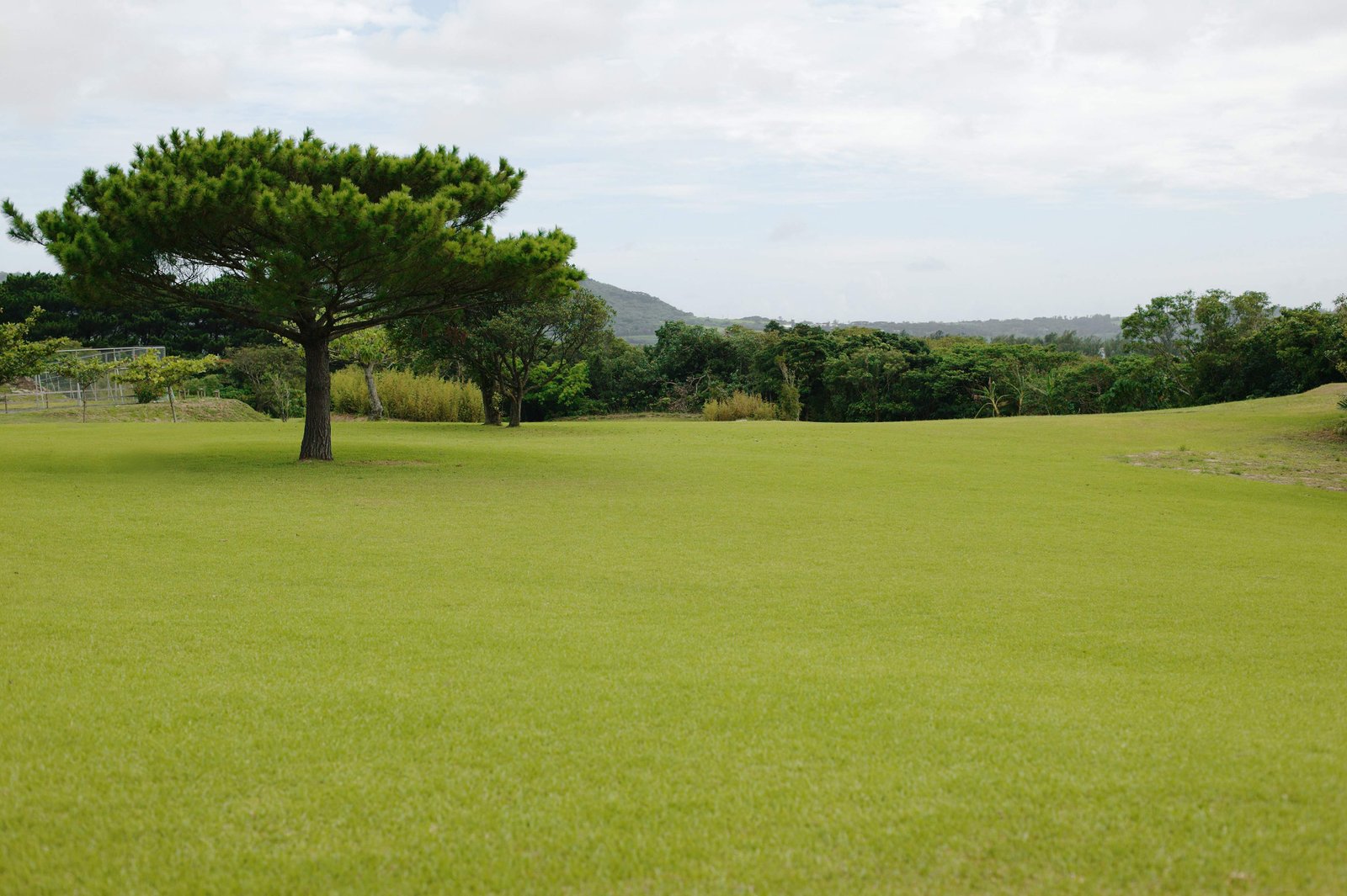 �ʐ^,�f��,����,�t���[,�t�H�g,�N���G�C�e�B�u�E�R�����Y,���i,�ǎ�,�Ő��L��, �Ő�, ���̖�, ��, �_