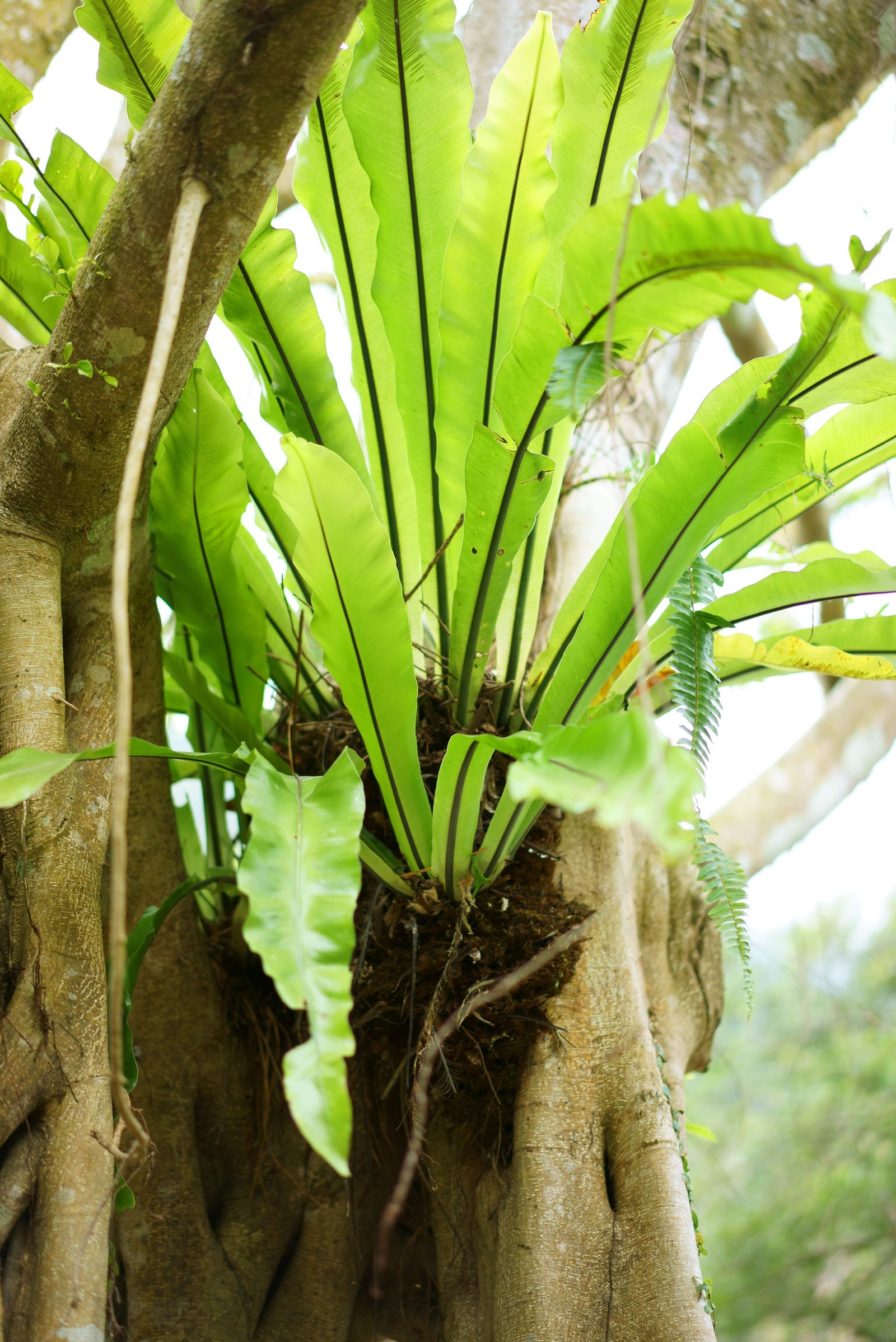 �ʐ^,�f��,����,�t���[,�t�H�g,�N���G�C�e�B�u�E�R�����Y,���i,�ǎ�,�㑰������, , , , 