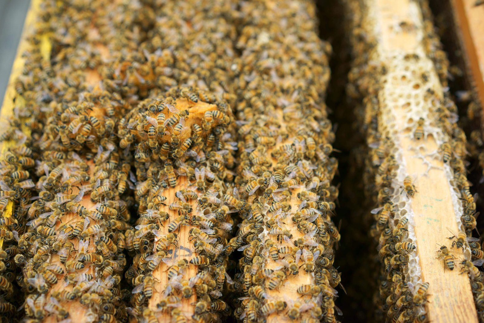 �ʐ^,�f��,����,�t���[,�t�H�g,�N���G�C�e�B�u�E�R�����Y,���i,�ǎ�,�~�c�o�`, , , , 