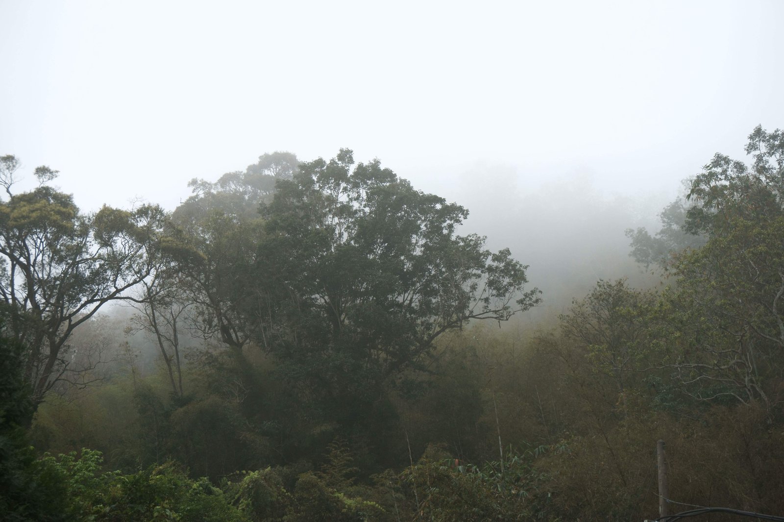 �ʐ^,�f��,����,�t���[,�t�H�g,�N���G�C�e�B�u�E�R�����Y,���i,�ǎ�,�����̓����K, , , , 