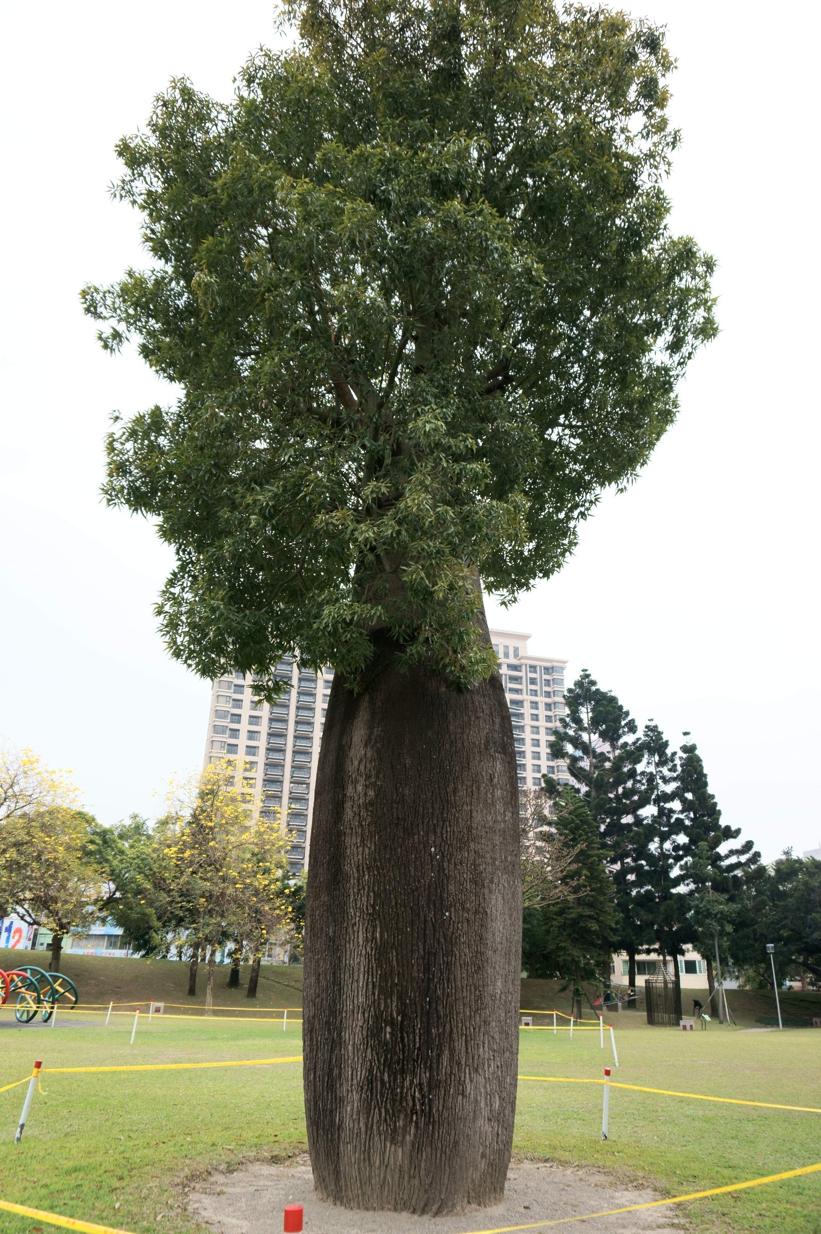 photo,material,free,landscape,picture,stock photo,Creative Commons,Taichung, , , ,