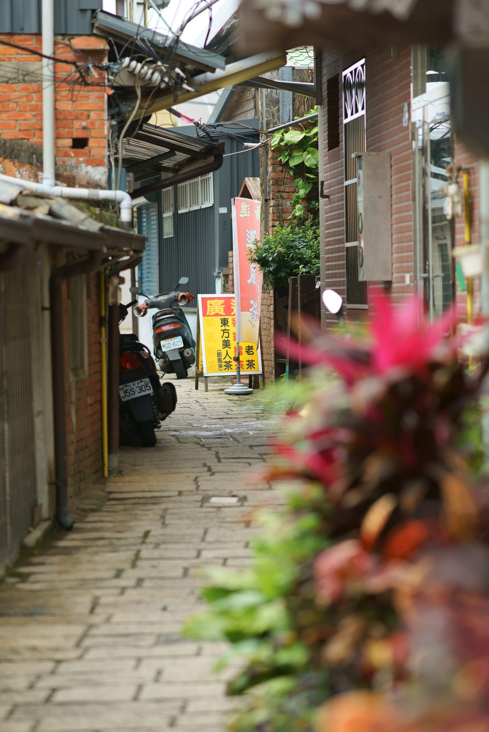 �ʐ^,�f��,����,�t���[,�t�H�g,�N���G�C�e�B�u�E�R�����Y,���i,�ǎ�,�k��, , , , 