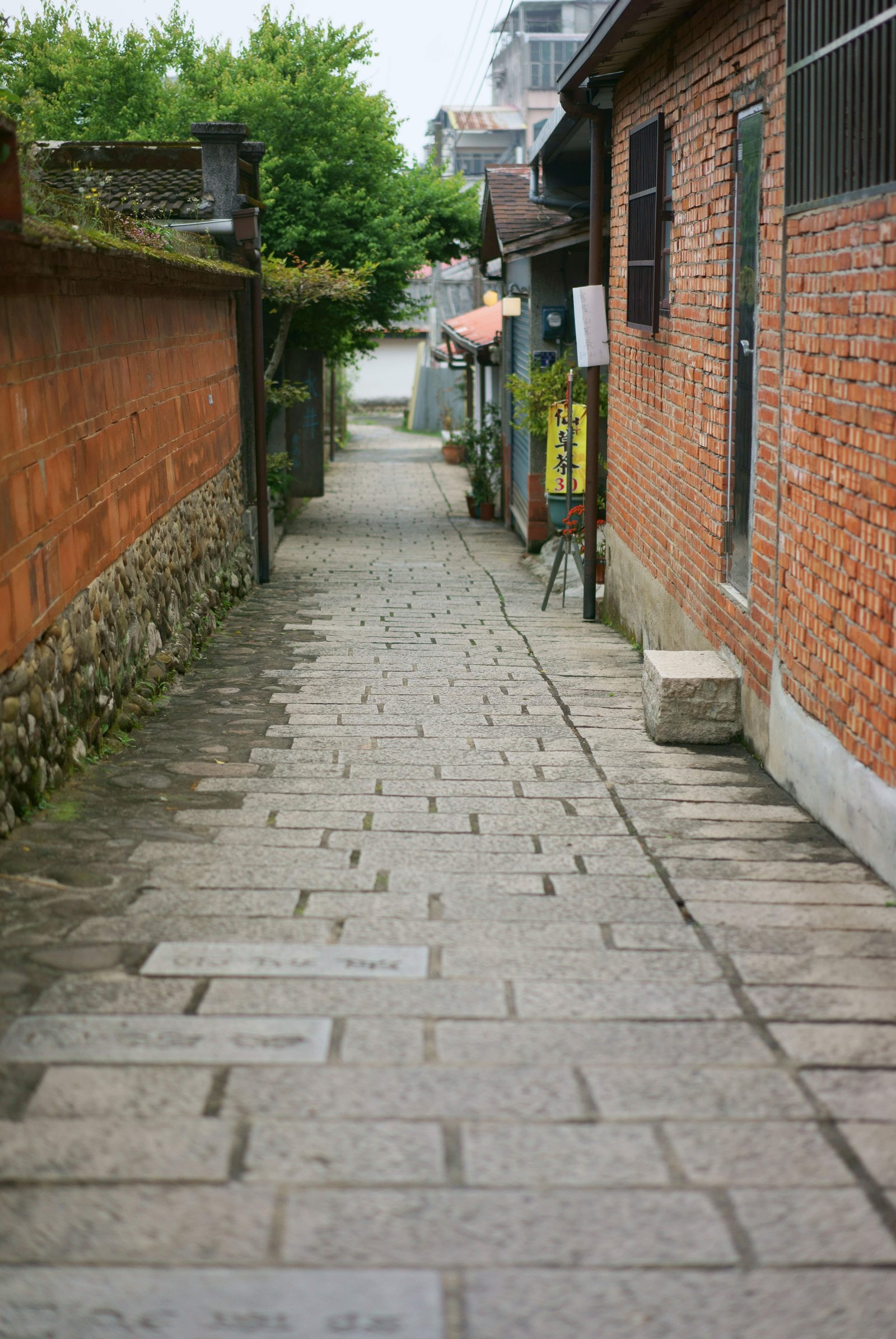 �ʐ^,�f��,����,�t���[,�t�H�g,�N���G�C�e�B�u�E�R�����Y,���i,�ǎ�,�k��, , , , 