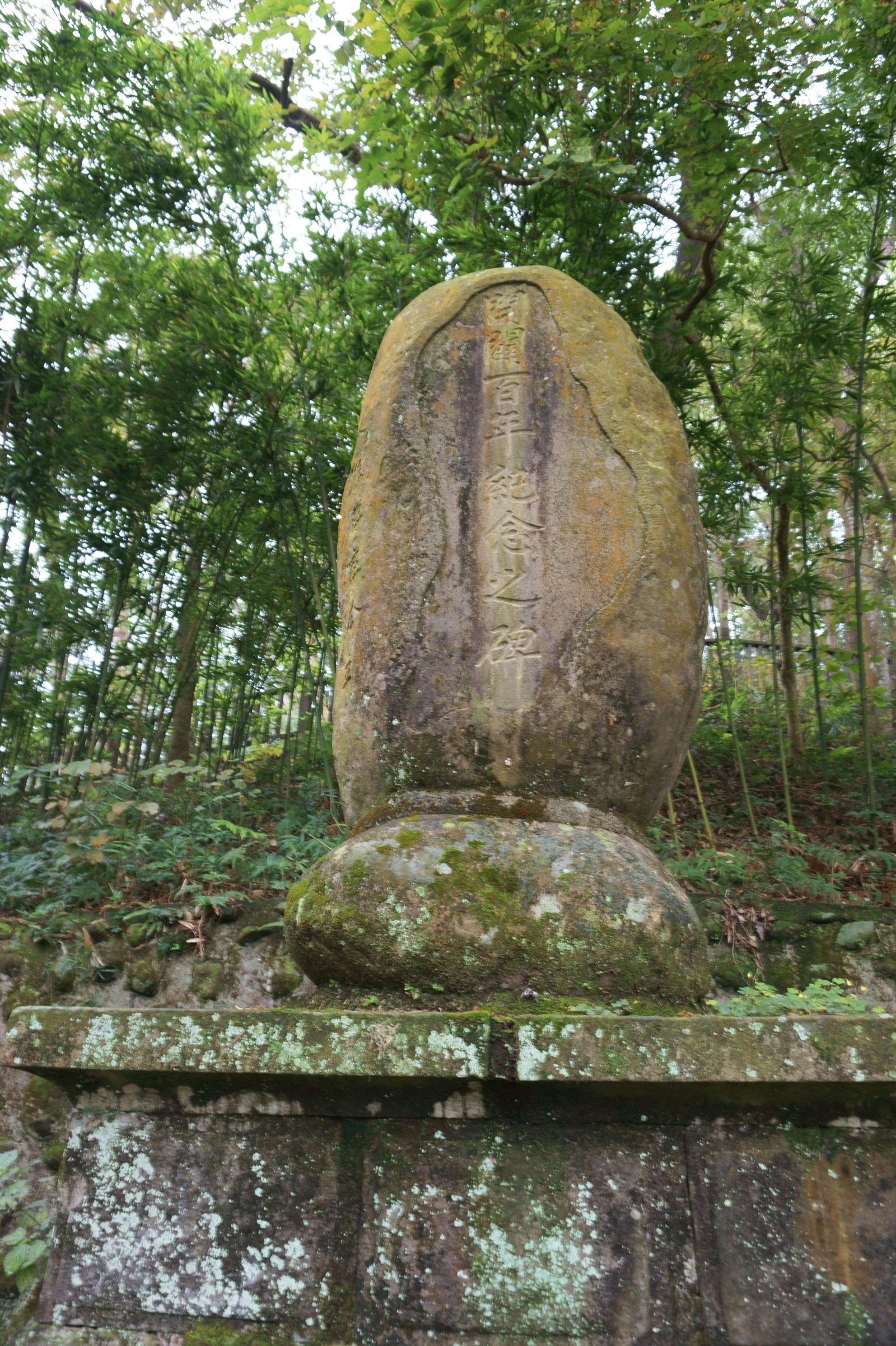 �ʐ^,�f��,����,�t���[,�t�H�g,�N���G�C�e�B�u�E�R�����Y,���i,�ǎ�,�k��, , , , 