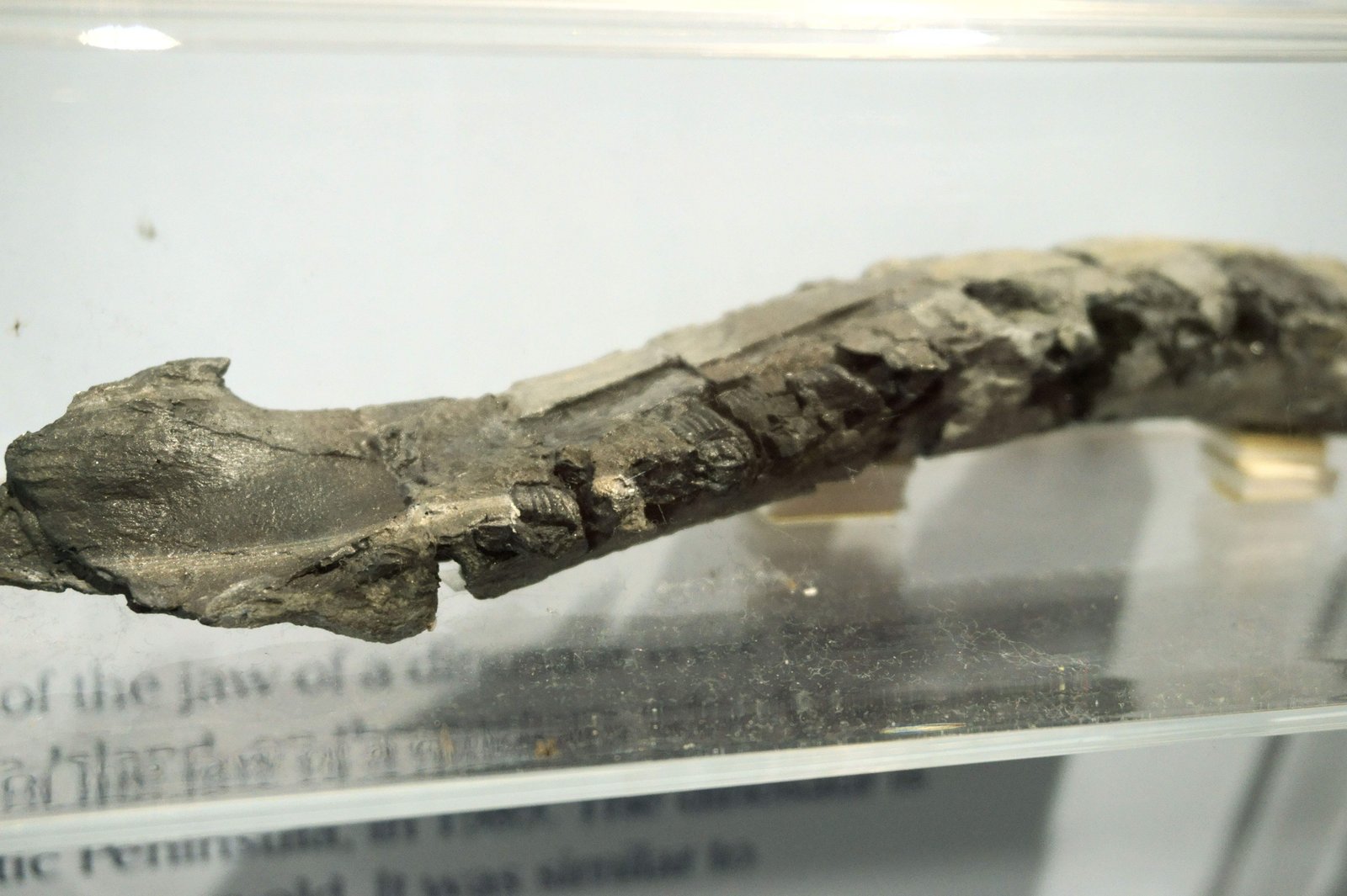 �ʐ^,�f��,����,�t���[,�t�H�g,�N���G�C�e�B�u�E�R�����Y,���i,�ǎ�,�����̊{�̉���, , , , 