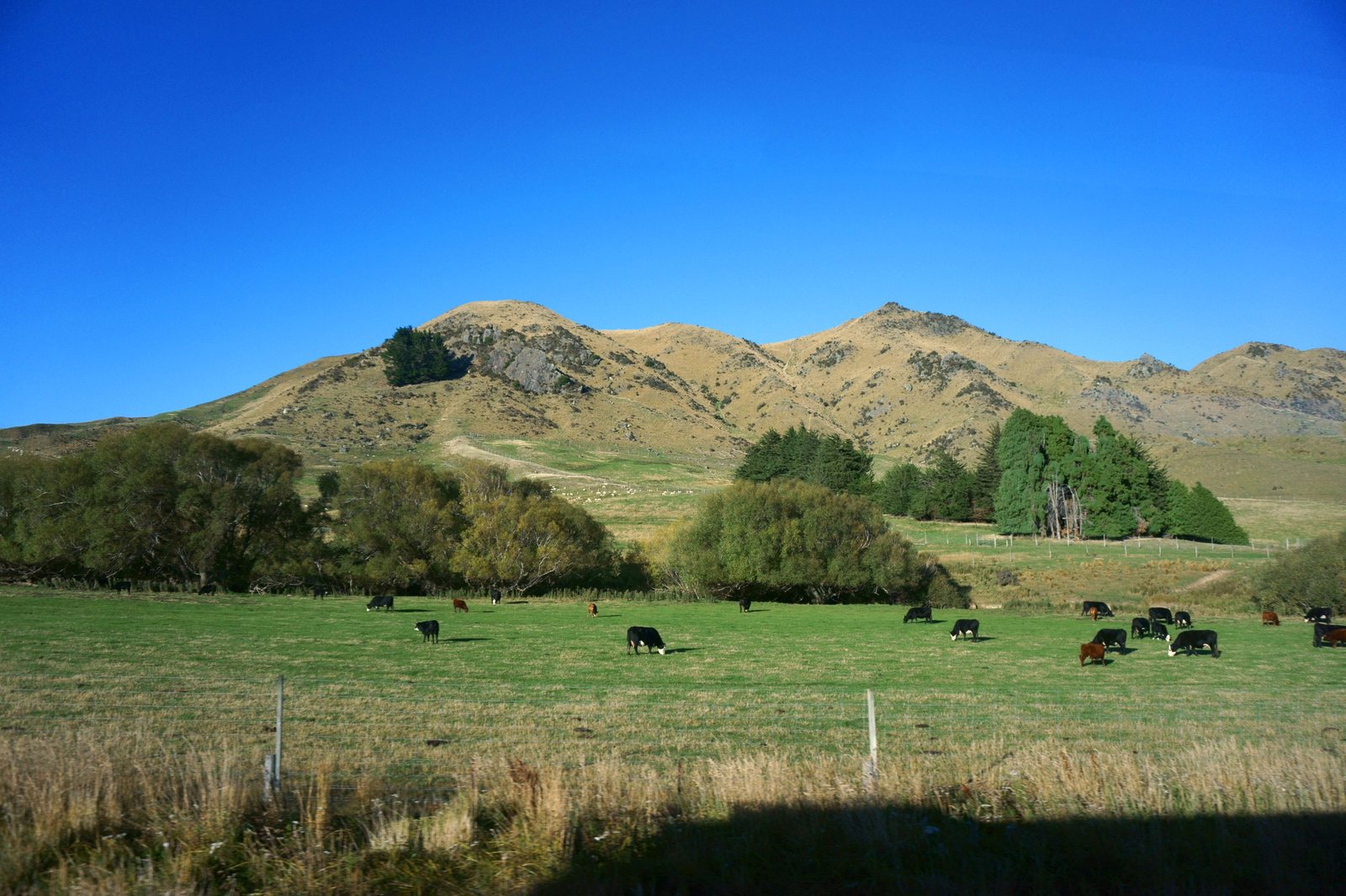 photo,material,free,landscape,picture,stock photo,Creative Commons,Queenstown, , , ,