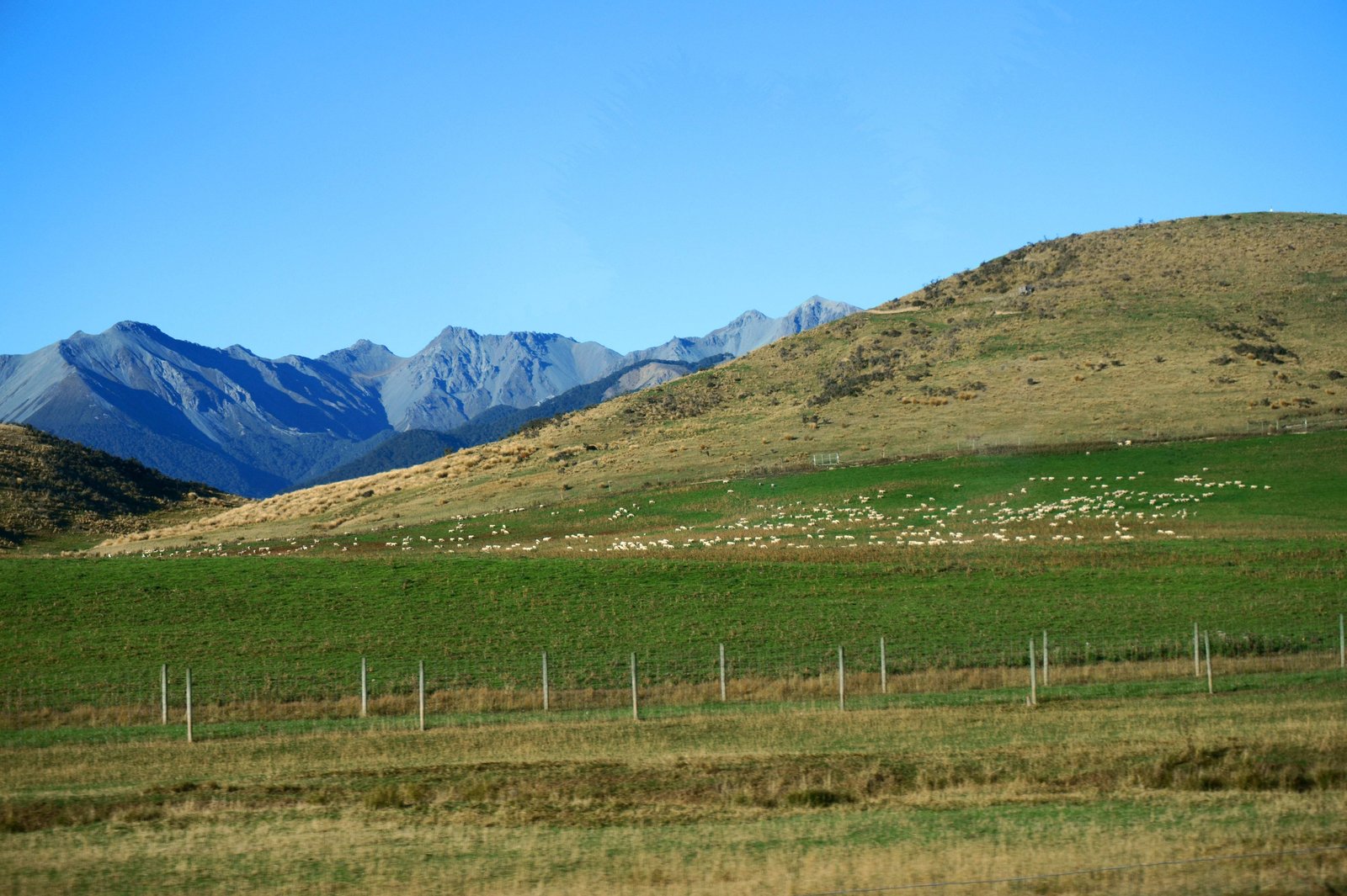 photo,material,free,landscape,picture,stock photo,Creative Commons,Queenstown, , , ,