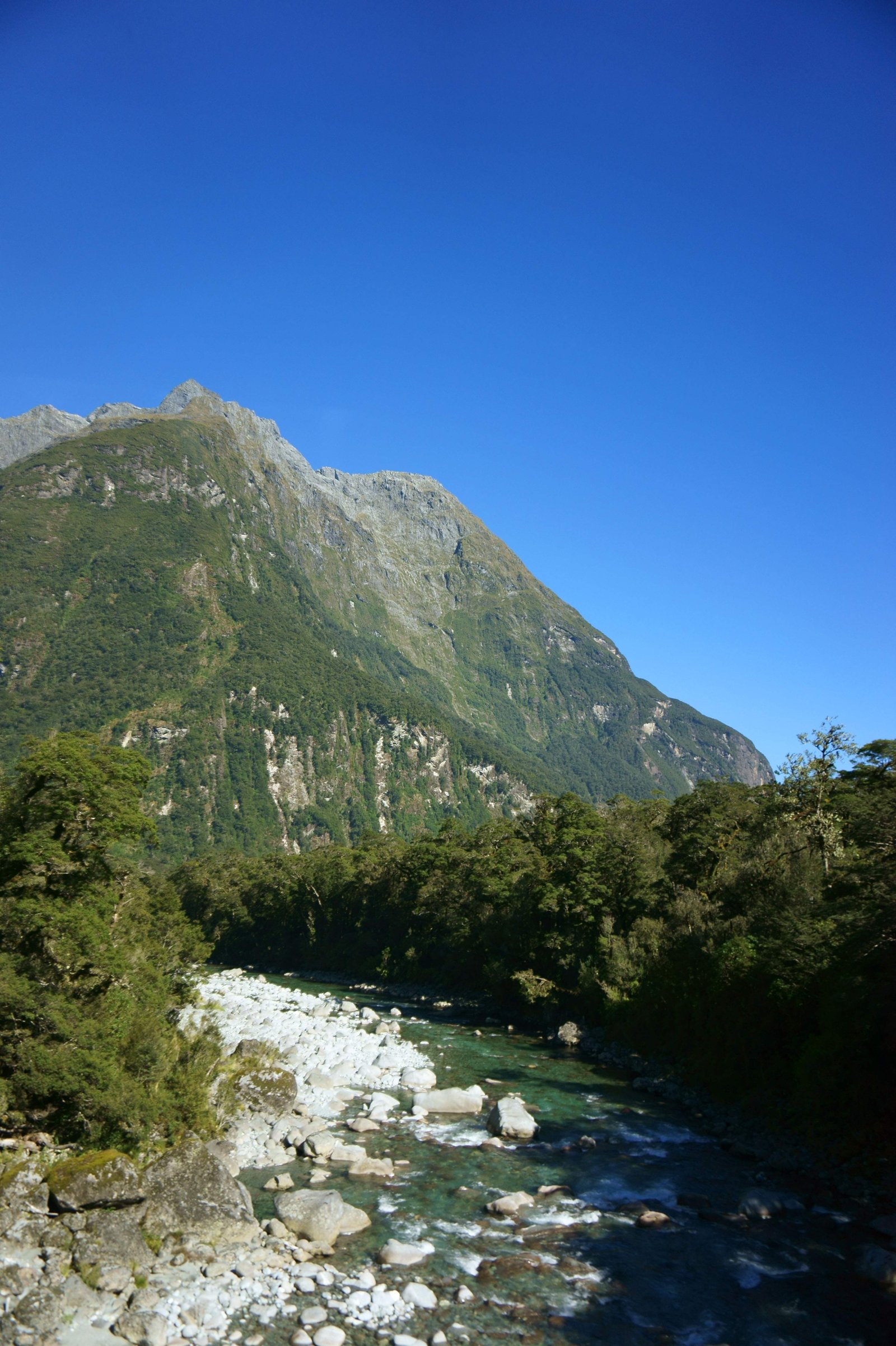 photo,material,free,landscape,picture,stock photo,Creative Commons,Mountain Stream, , , ,