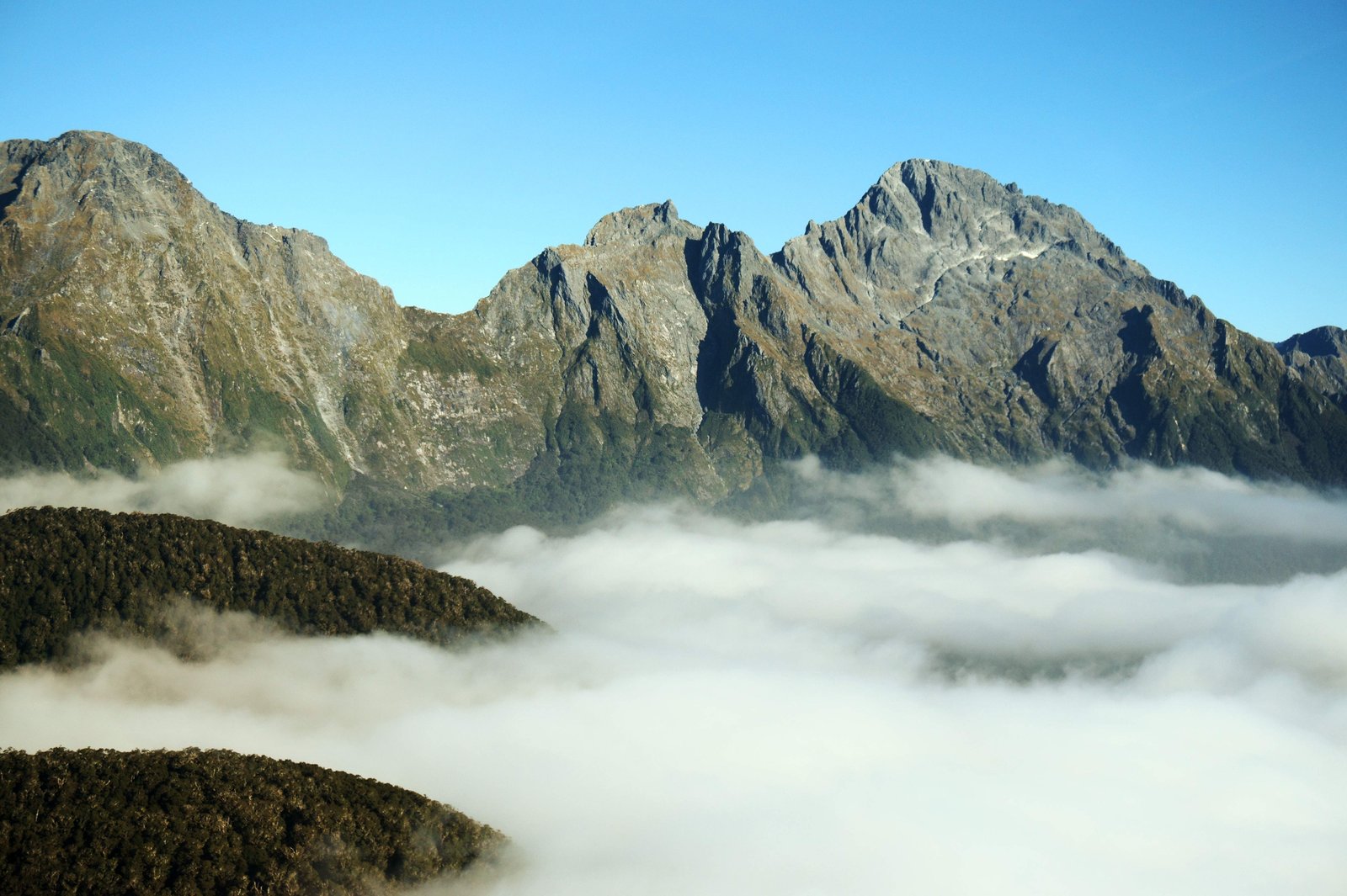 photo,material,free,landscape,picture,stock photo,Creative Commons,Milford Sound, , , ,