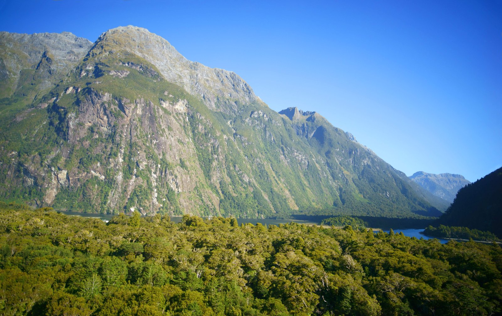 photo,material,free,landscape,picture,stock photo,Creative Commons,Milford Sound, , , ,