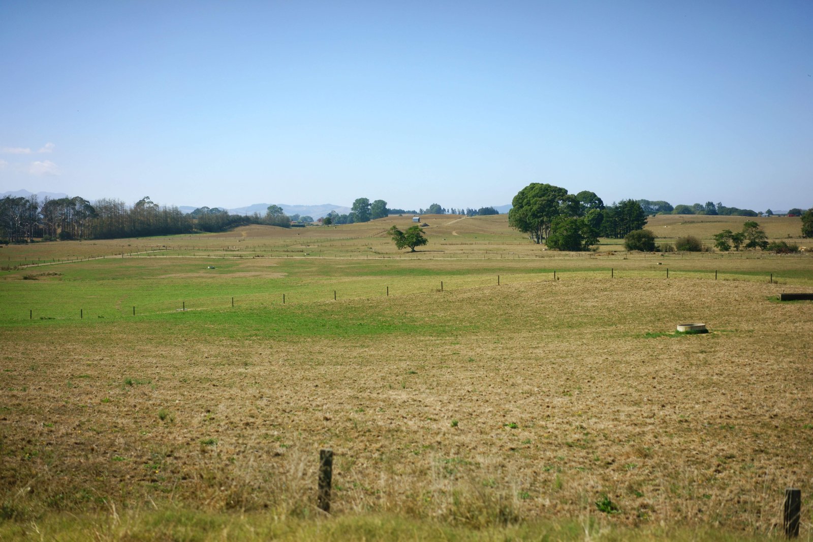 �ʐ^,�f��,����,�t���[,�t�H�g,�N���G�C�e�B�u�E�R�����Y,���i,�ǎ�,�q��, , , , 