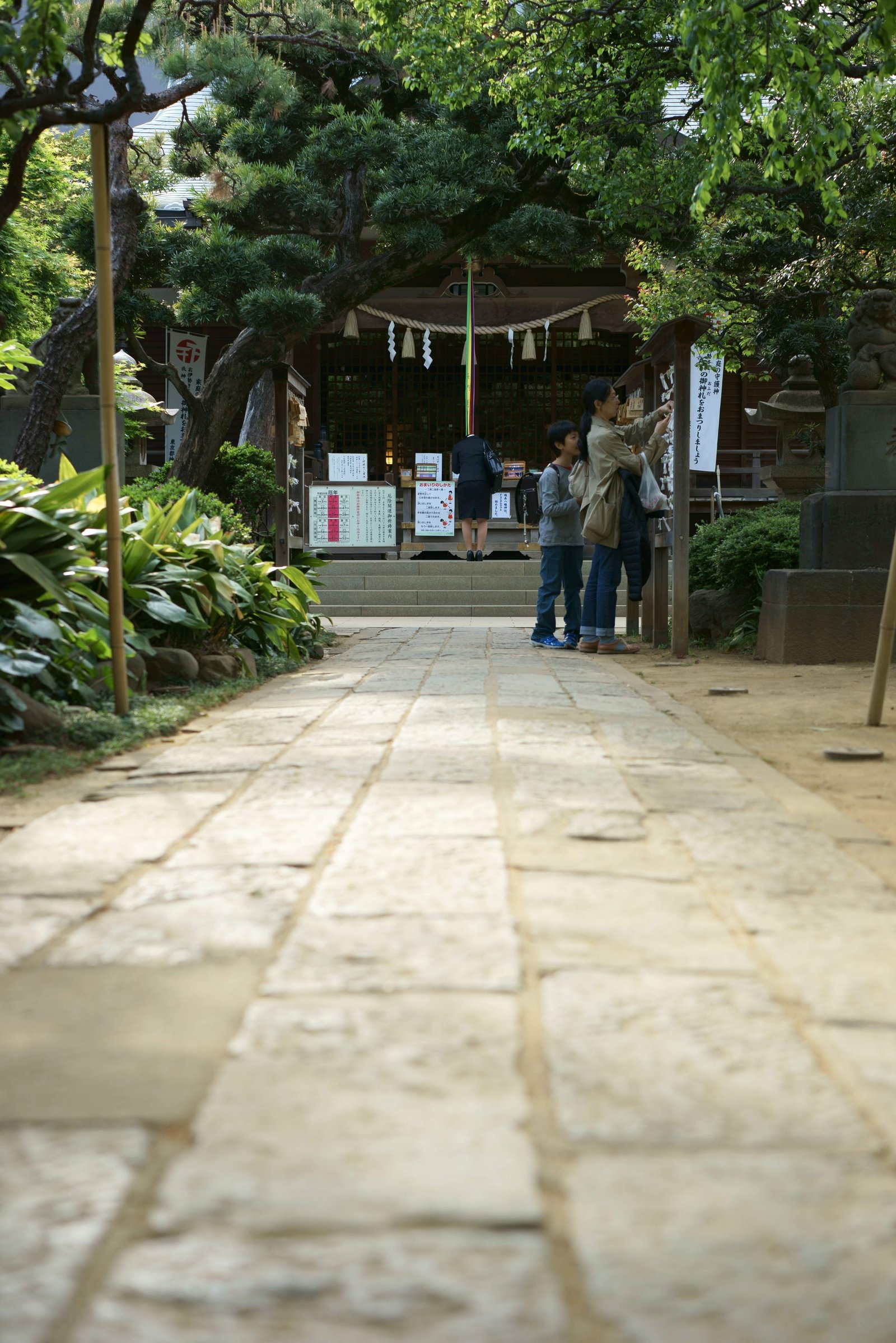 �ʐ^,�f��,����,�t���[,�t�H�g,�N���G�C�e�B�u�E�R�����Y,���i,�ǎ�,���X�����_��, , , , 