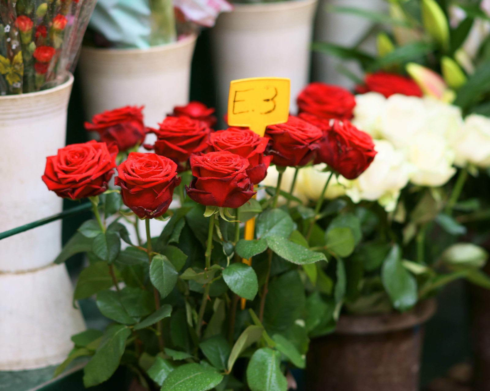 �ʐ^,�f��,����,�t���[,�t�H�g,�N���G�C�e�B�u�E�R�����Y,���i,�ǎ�,�X�p�̃o������, , , , 