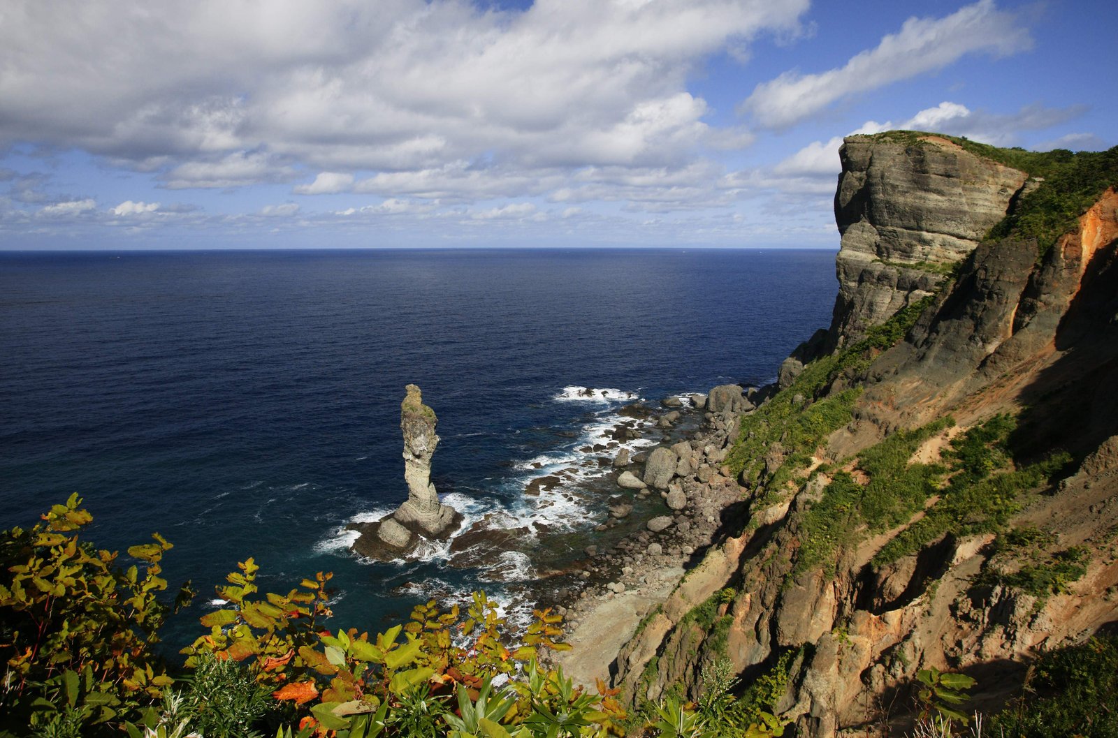 �ʐ^,�f��,����,�t���[,�t�H�g,�N���G�C�e�B�u�E�R�����Y,���i,�ǎ�,���Y�q��̌Ǔ�, �f�R, ���, ��, �g