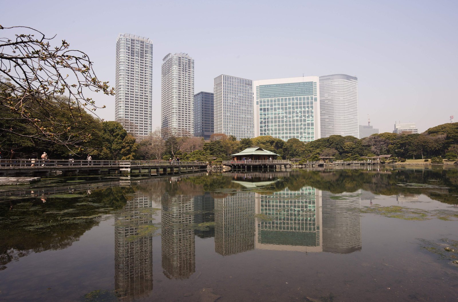 photo,material,free,landscape,picture,stock photo,Creative Commons,A group of Shiodome Building and a pond of damage by sea water, pond, building, I am Japanese-style,