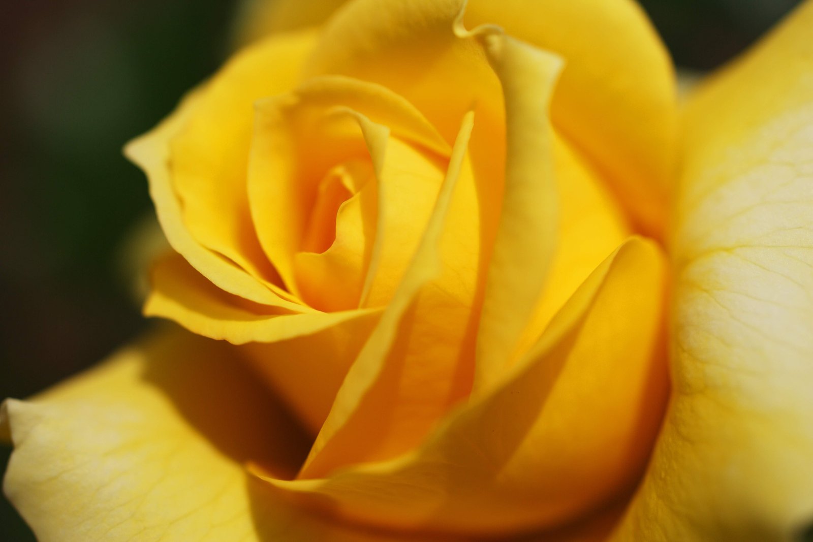 �ʐ^,�f��,����,�t���[,�t�H�g,�N���G�C�e�B�u�E�R�����Y,���i,�ǎ�,���F���o��, ���F, �Ԃт�, �K�N, �΂�